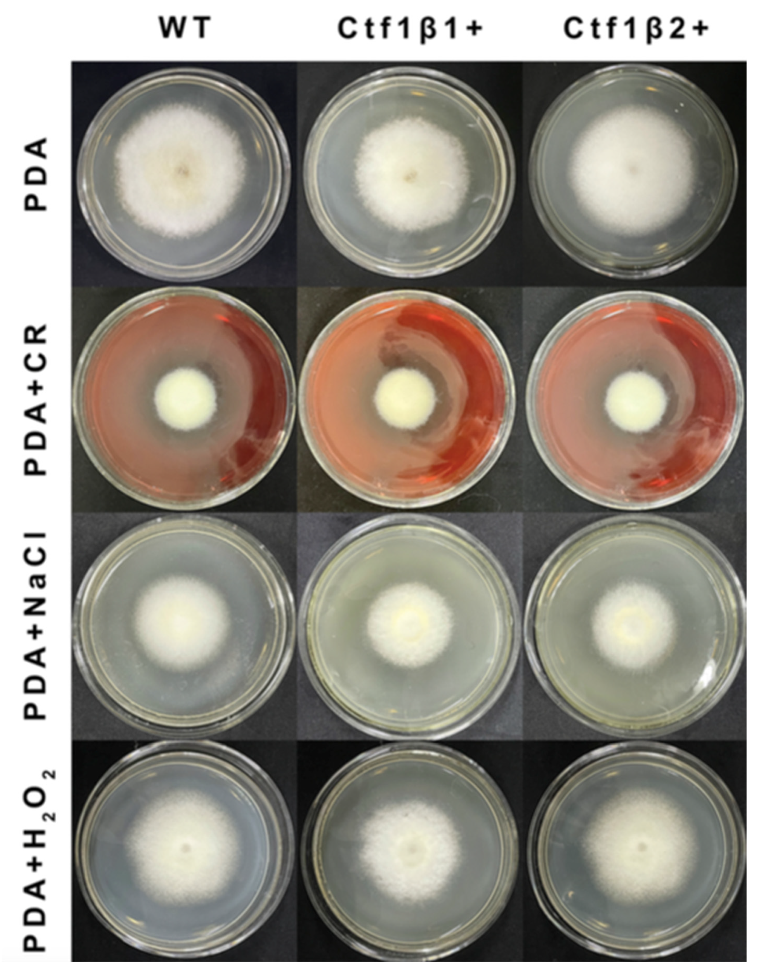 Jof 07 01001 g015 Jof 07 01001 g015