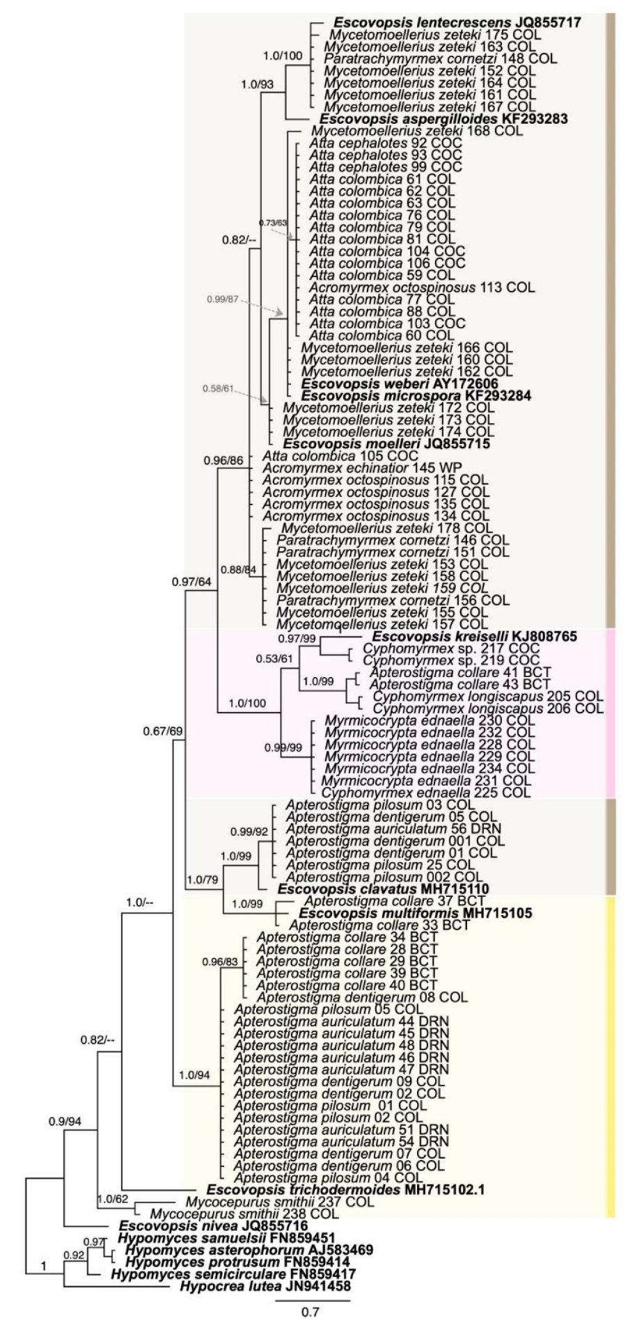 Jof 07 01007 g001 Jof 07 01007 g001