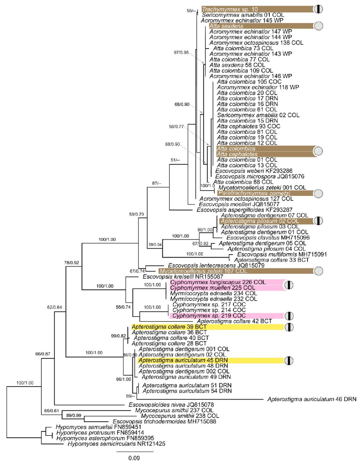 Jof 07 01007 g002 Jof 07 01007 g002
