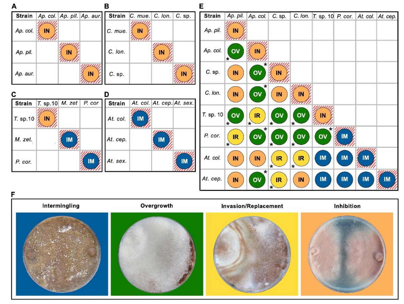 Jof 07 01007 g004 Jof 07 01007 g004