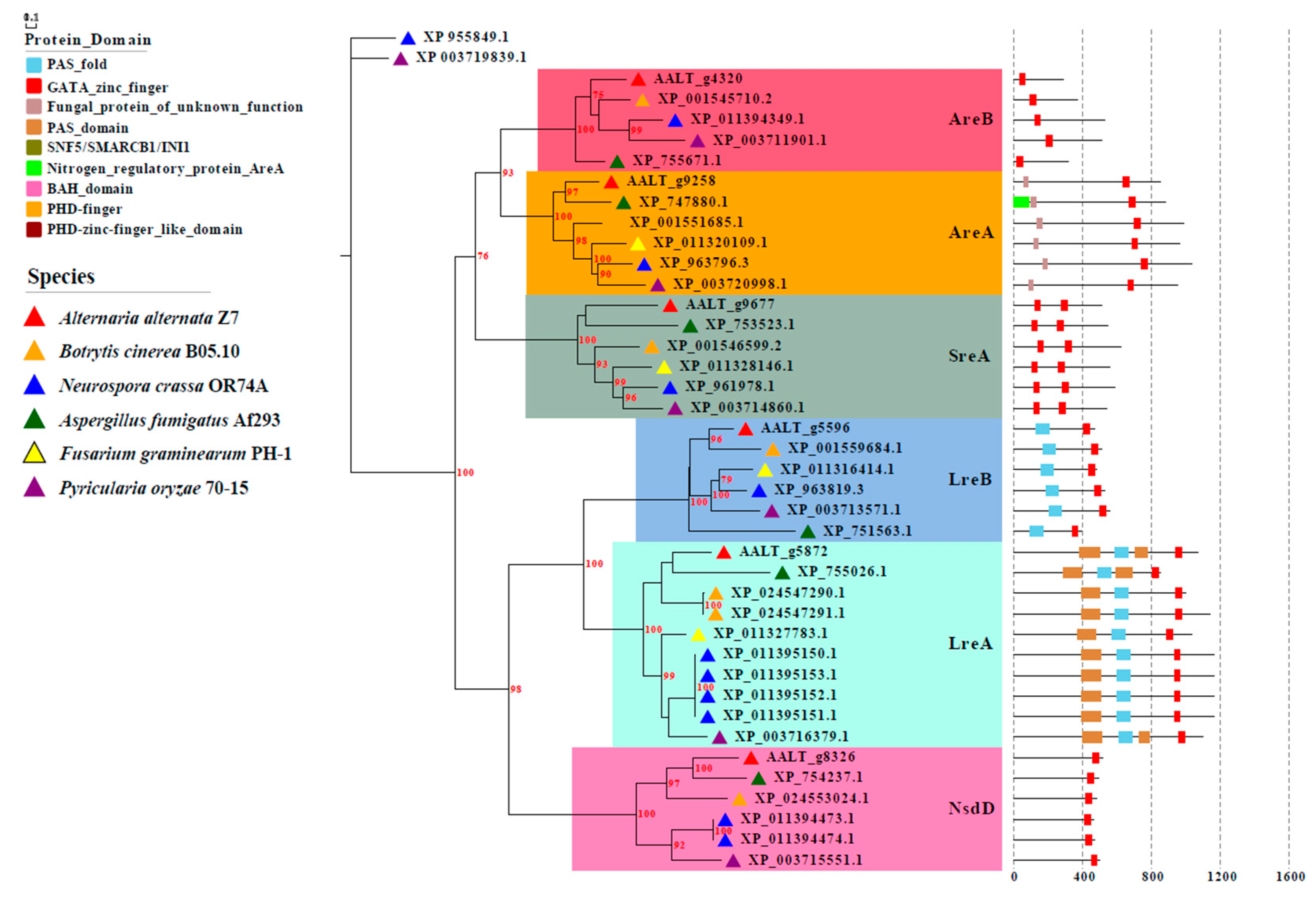 Jof 07 01013 g001 550