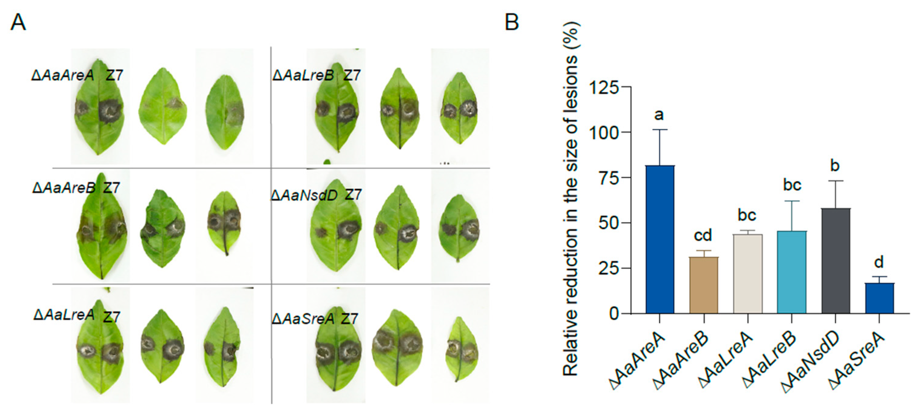 Jof 07 01013 g006 550
