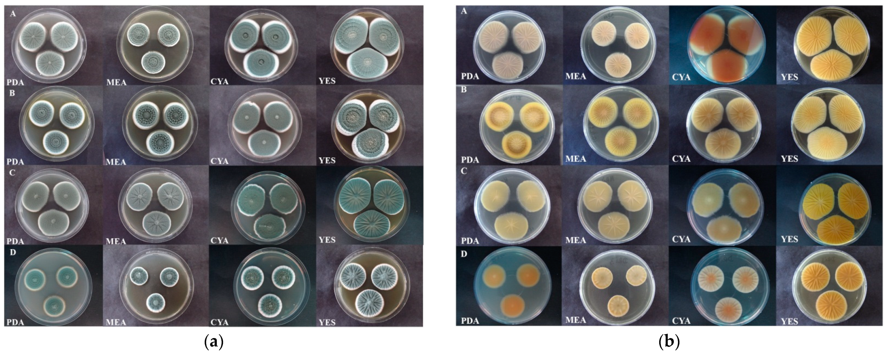 Jof 07 01019 g003 550