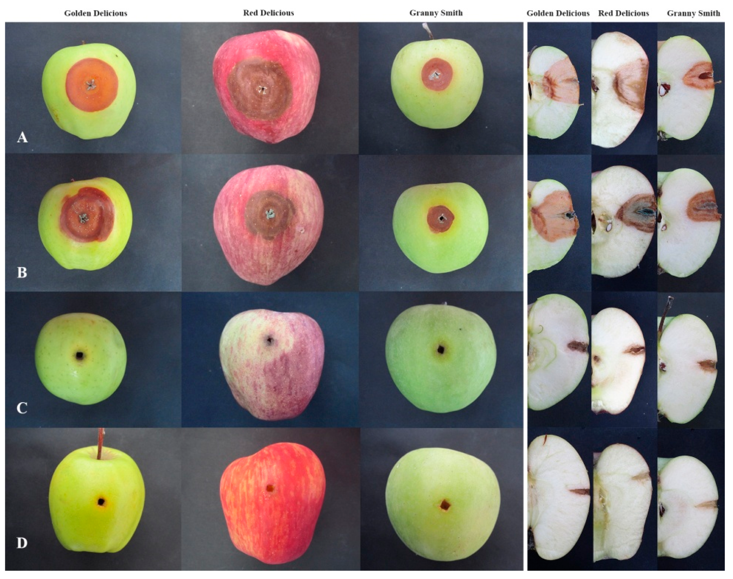 Jof 07 01019 g008 550