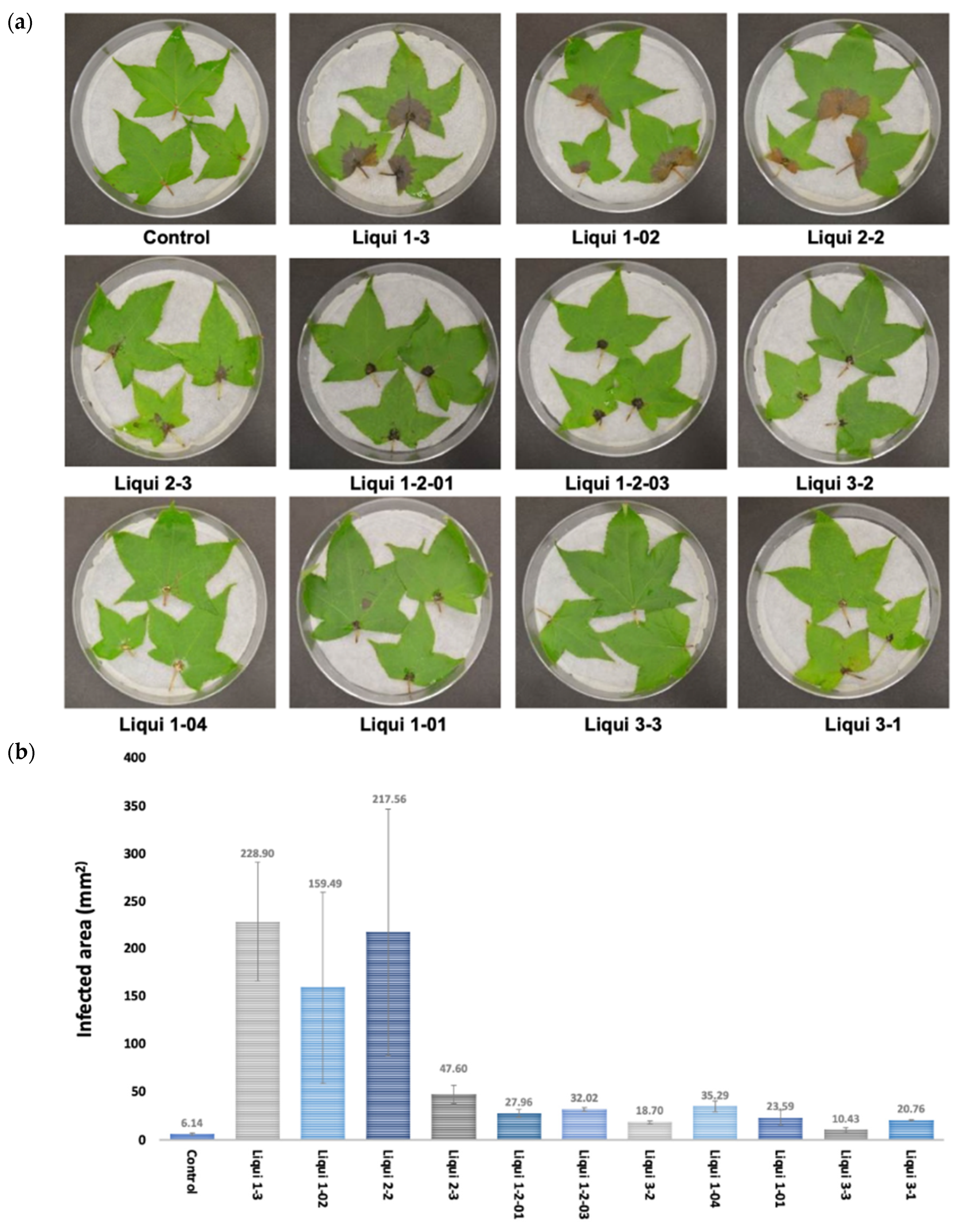 Insights of the Neofusicoccum parvum–Liquidambar styraciflua
