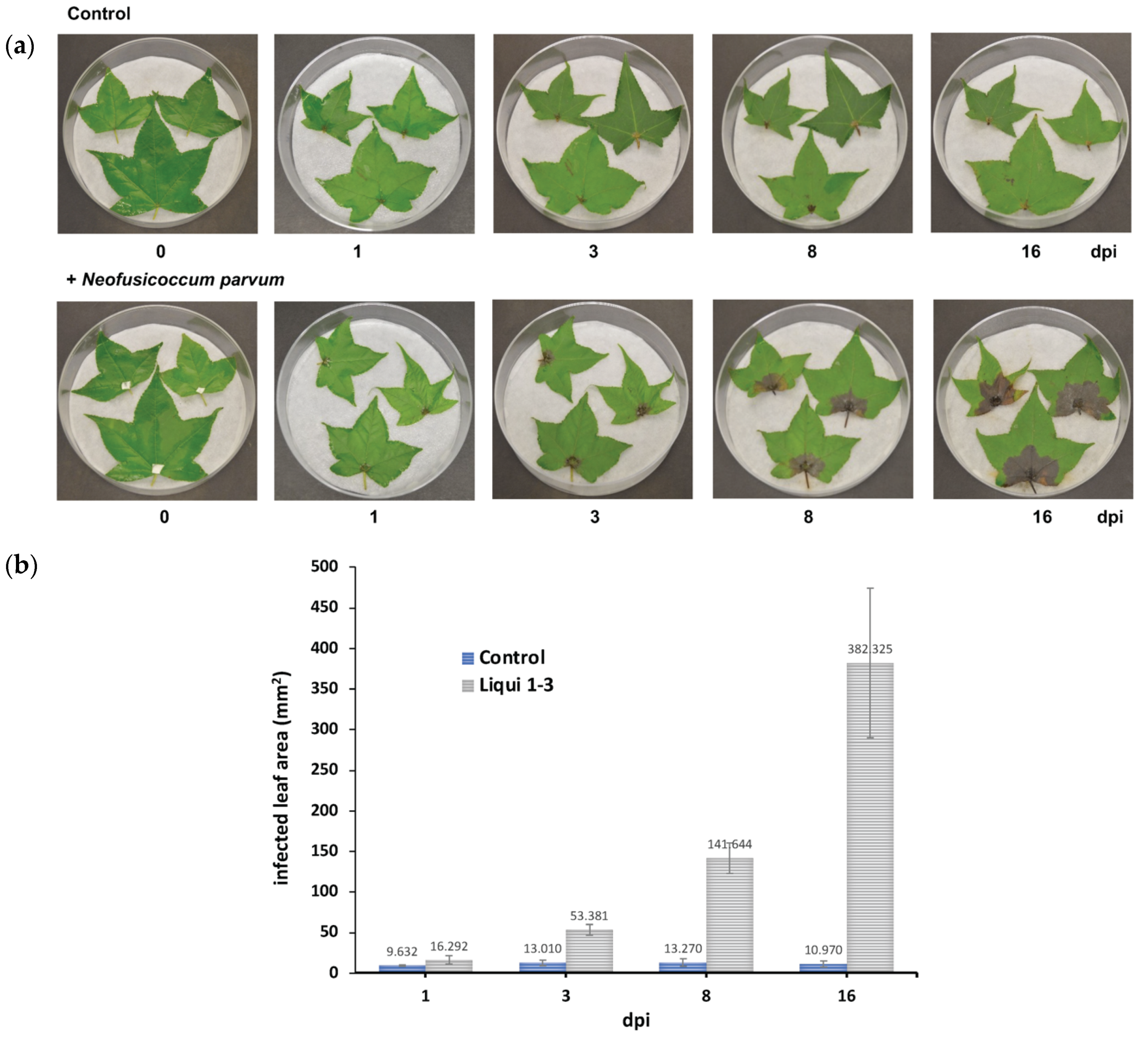 Jof 07 01027 g002 Jof 07 01027 g002