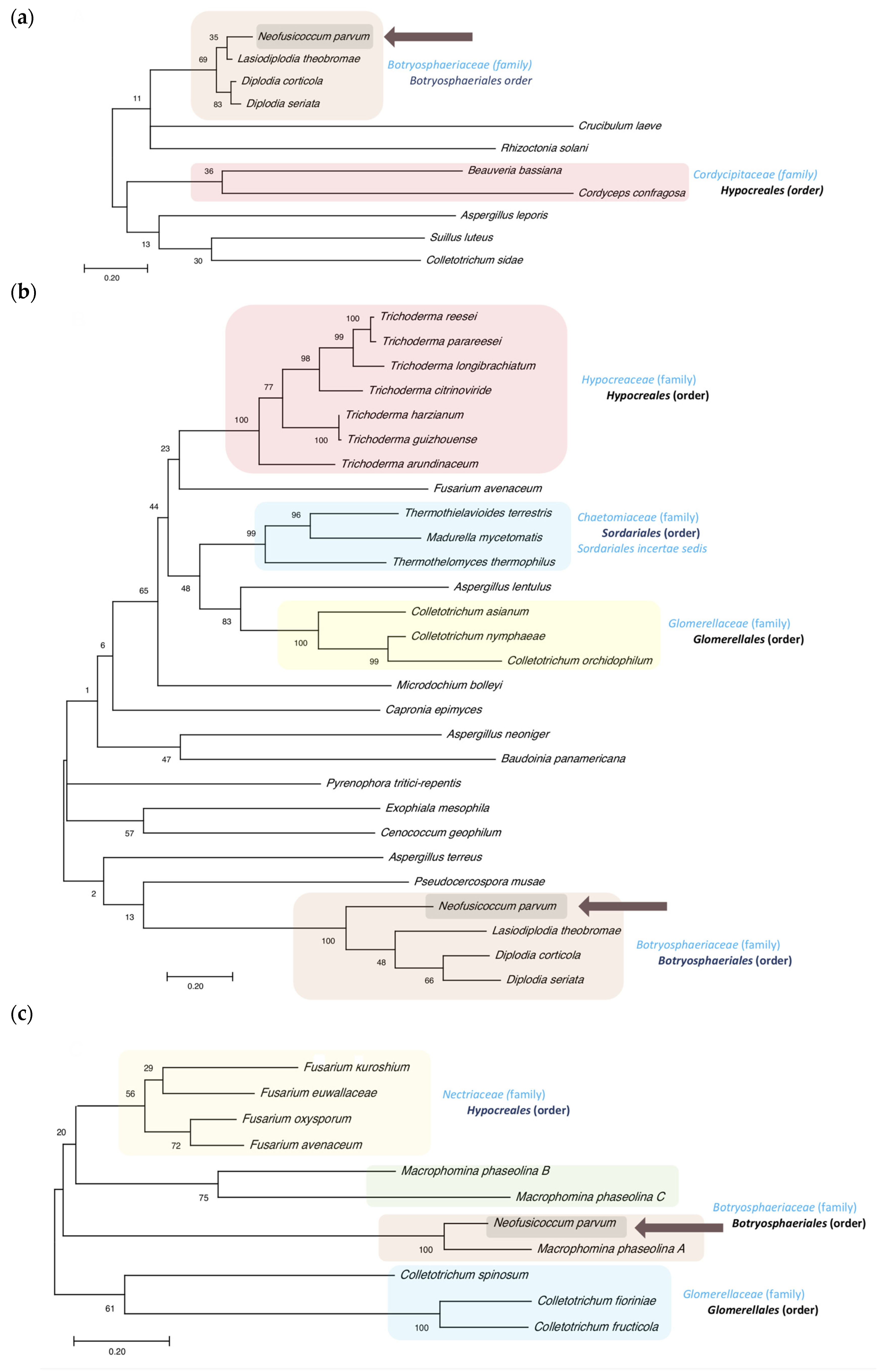 Jof 07 01027 g006 Jof 07 01027 g006