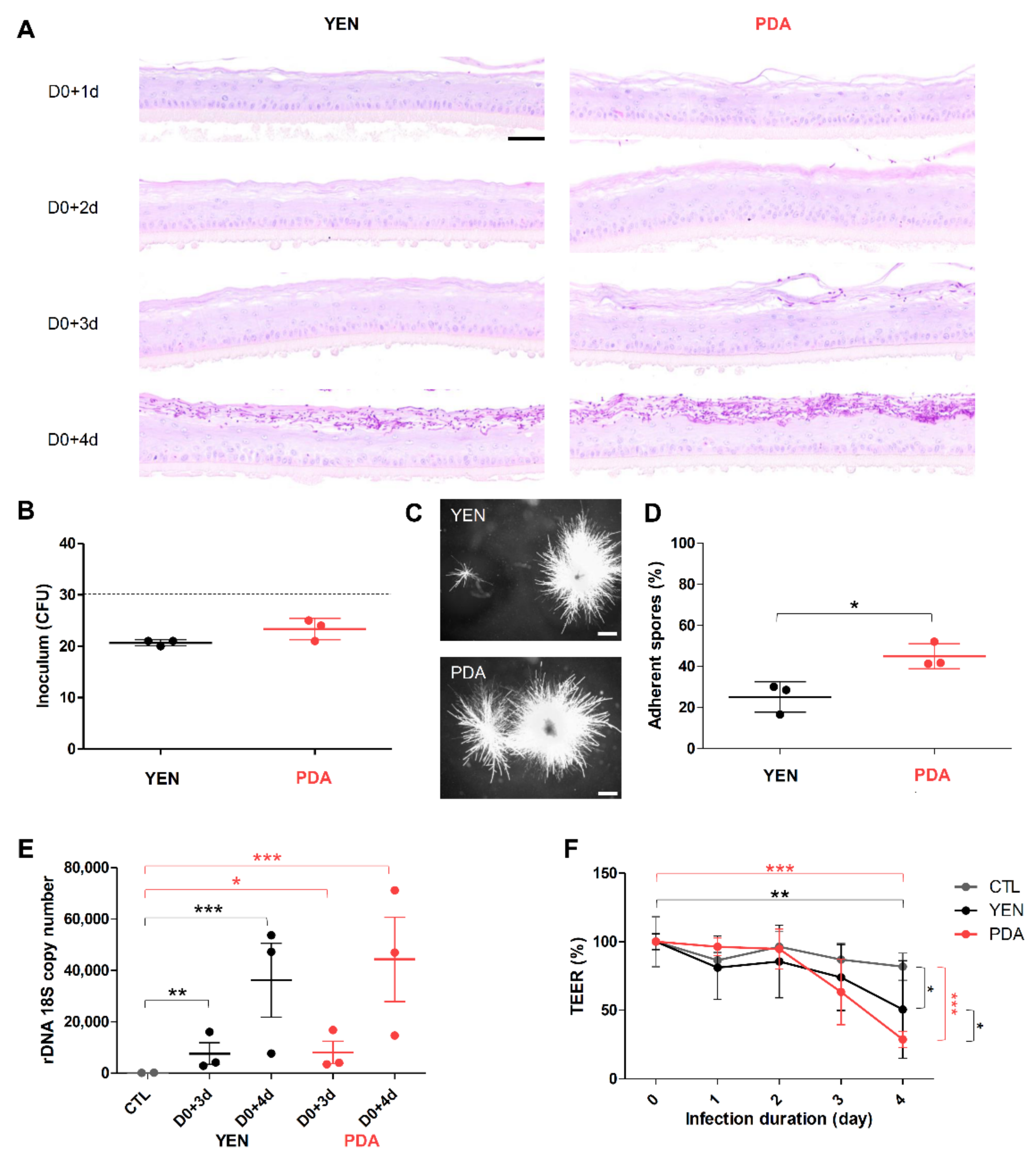 Jof 07 01029 g004 Jof 07 01029 g004