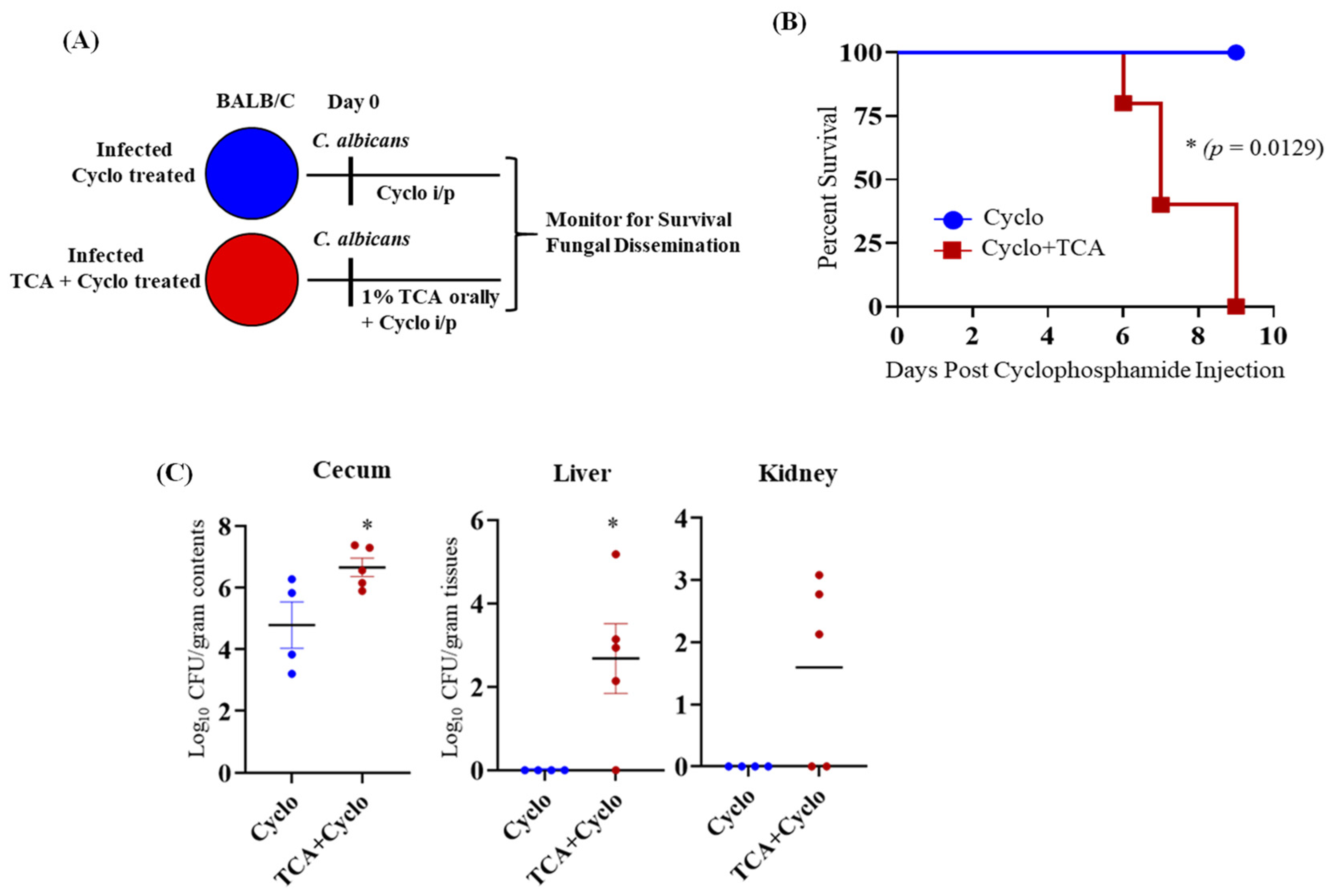 Jof 07 01030 g003 Jof 07 01030 g003