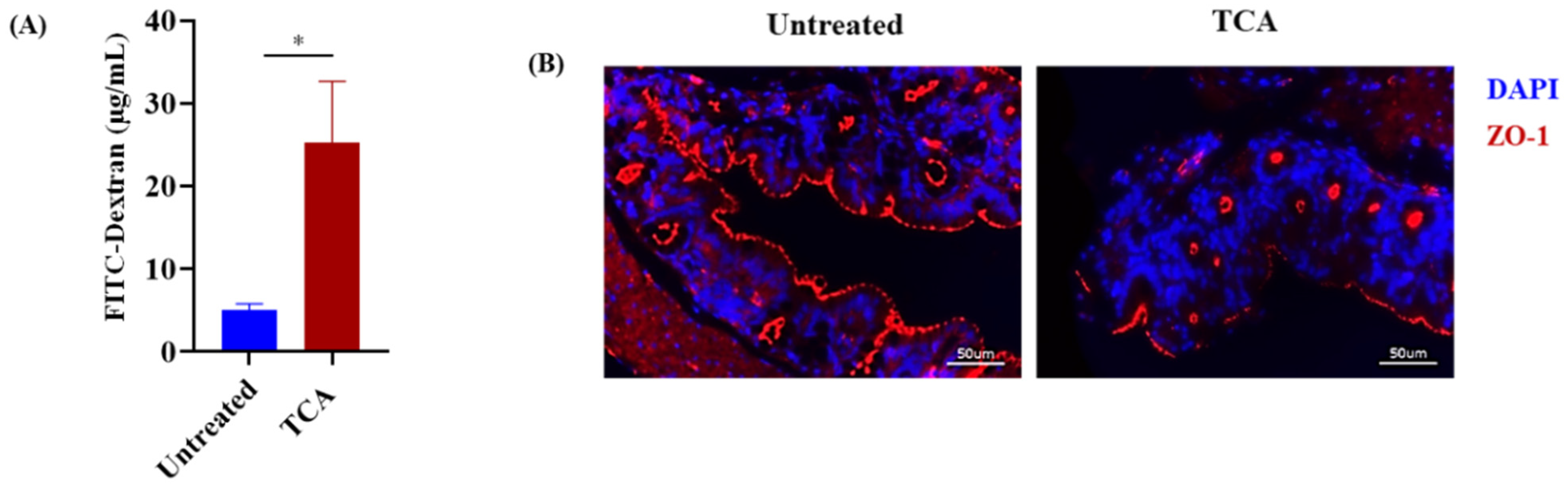 Jof 07 01030 g004 Jof 07 01030 g004