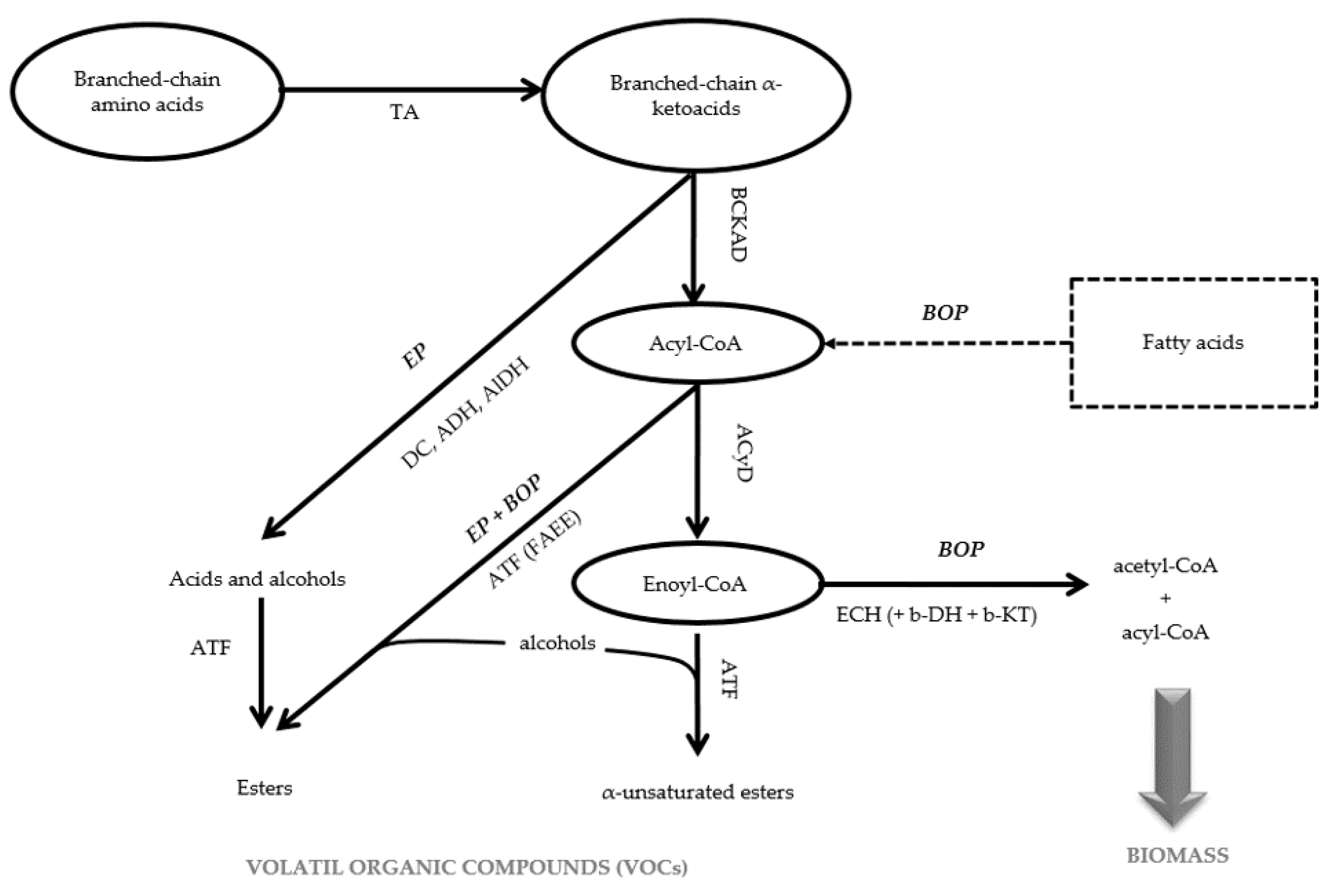 Jof 07 01031 g001 Jof 07 01031 g001