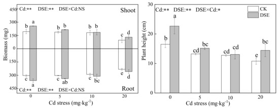 うさ Visual Analysis of Research Progress on the Impact of