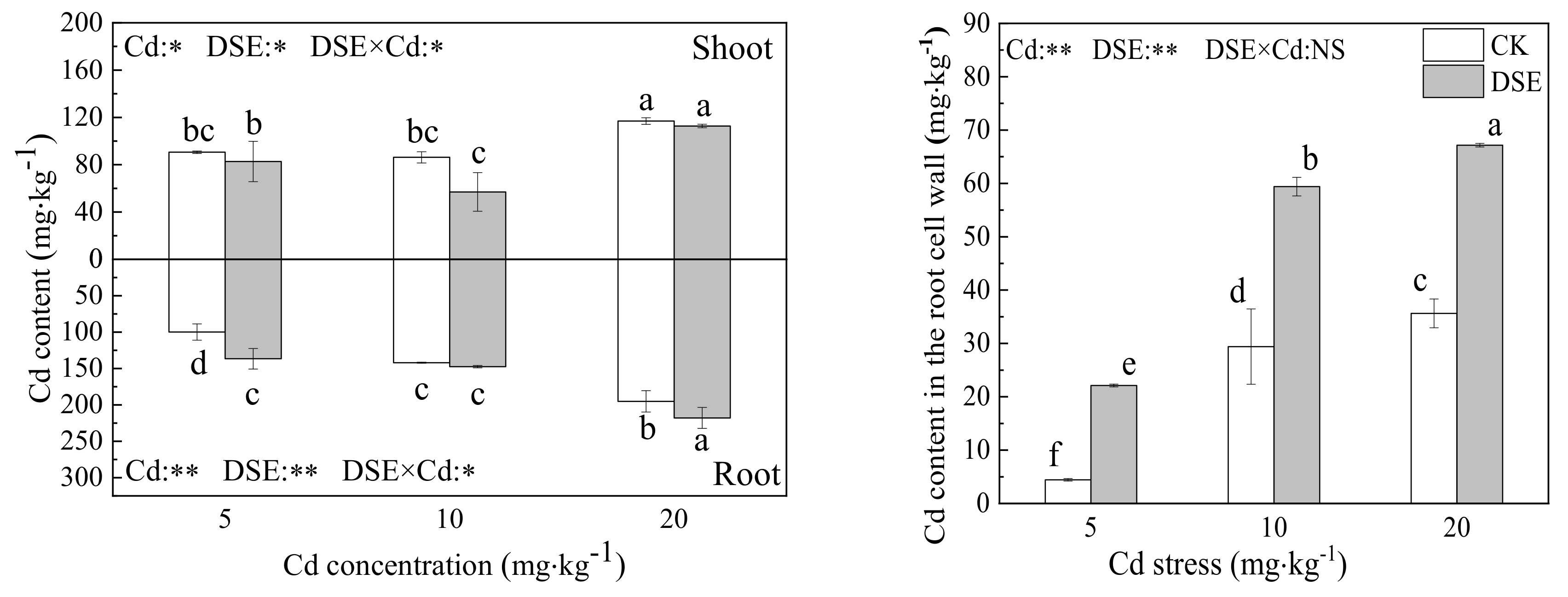 Effects of the Dark Septate Endophyte (DSE) Exophiala