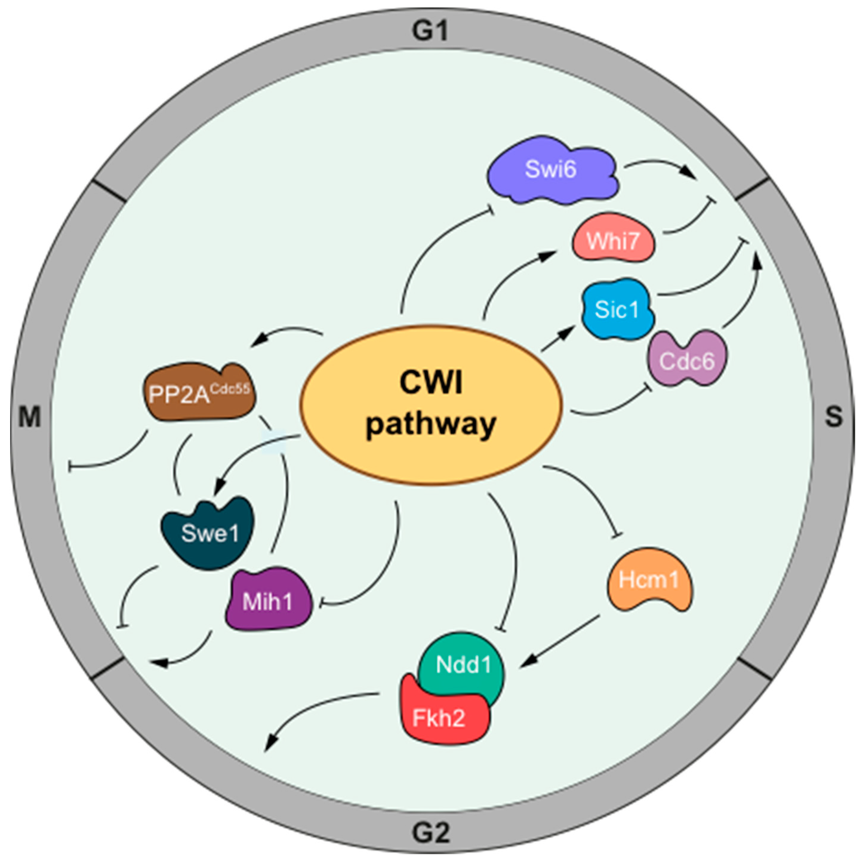 Jof 07 01041 g001 Jof 07 01041 g001