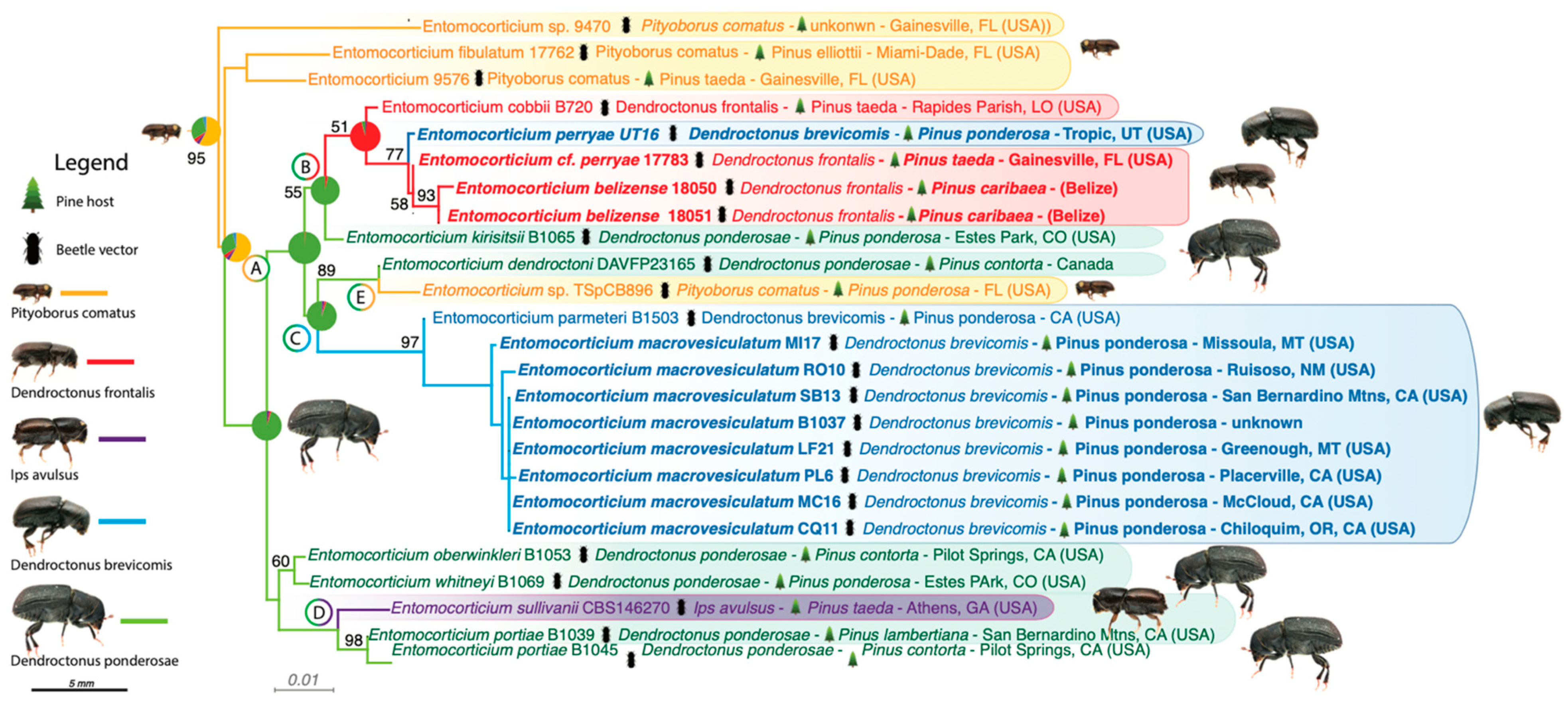 Jof 07 01043 g002 550