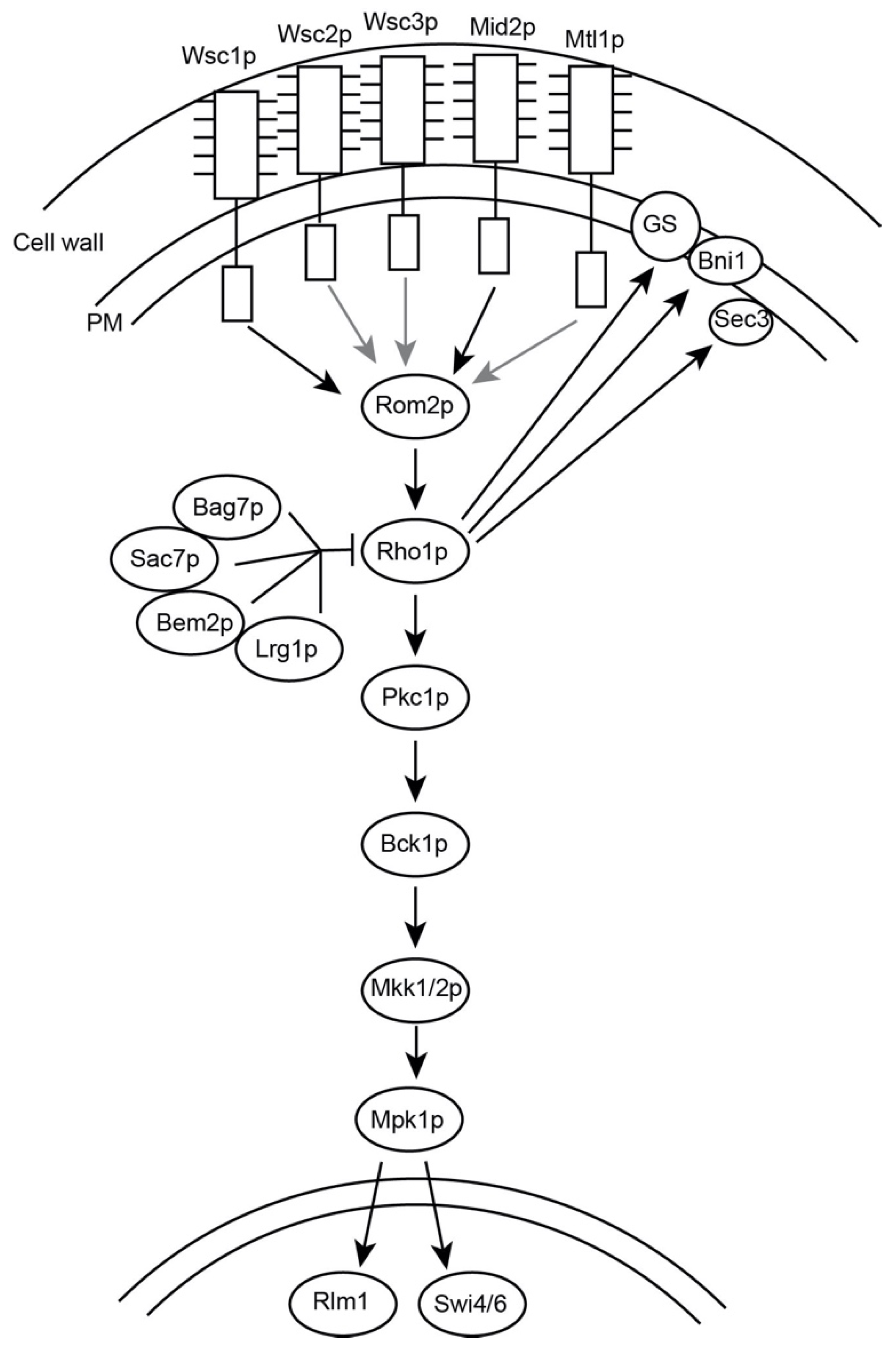 Jof 07 01049 g001 Jof 07 01049 g001