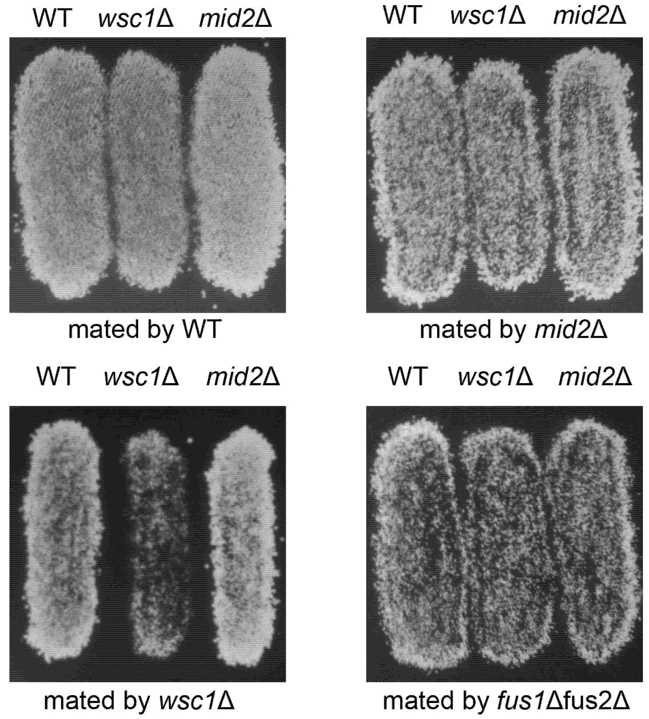 Jof 07 01049 g002 Jof 07 01049 g002