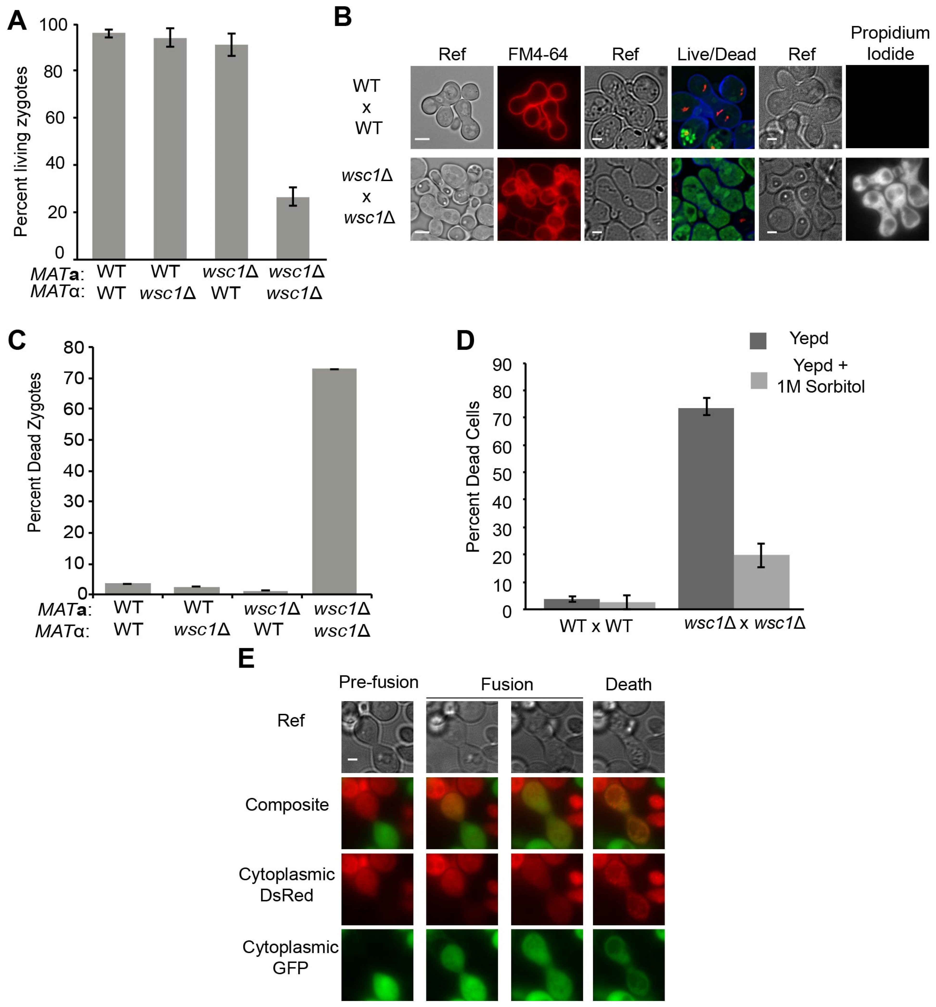 Jof 07 01049 g003 Jof 07 01049 g003