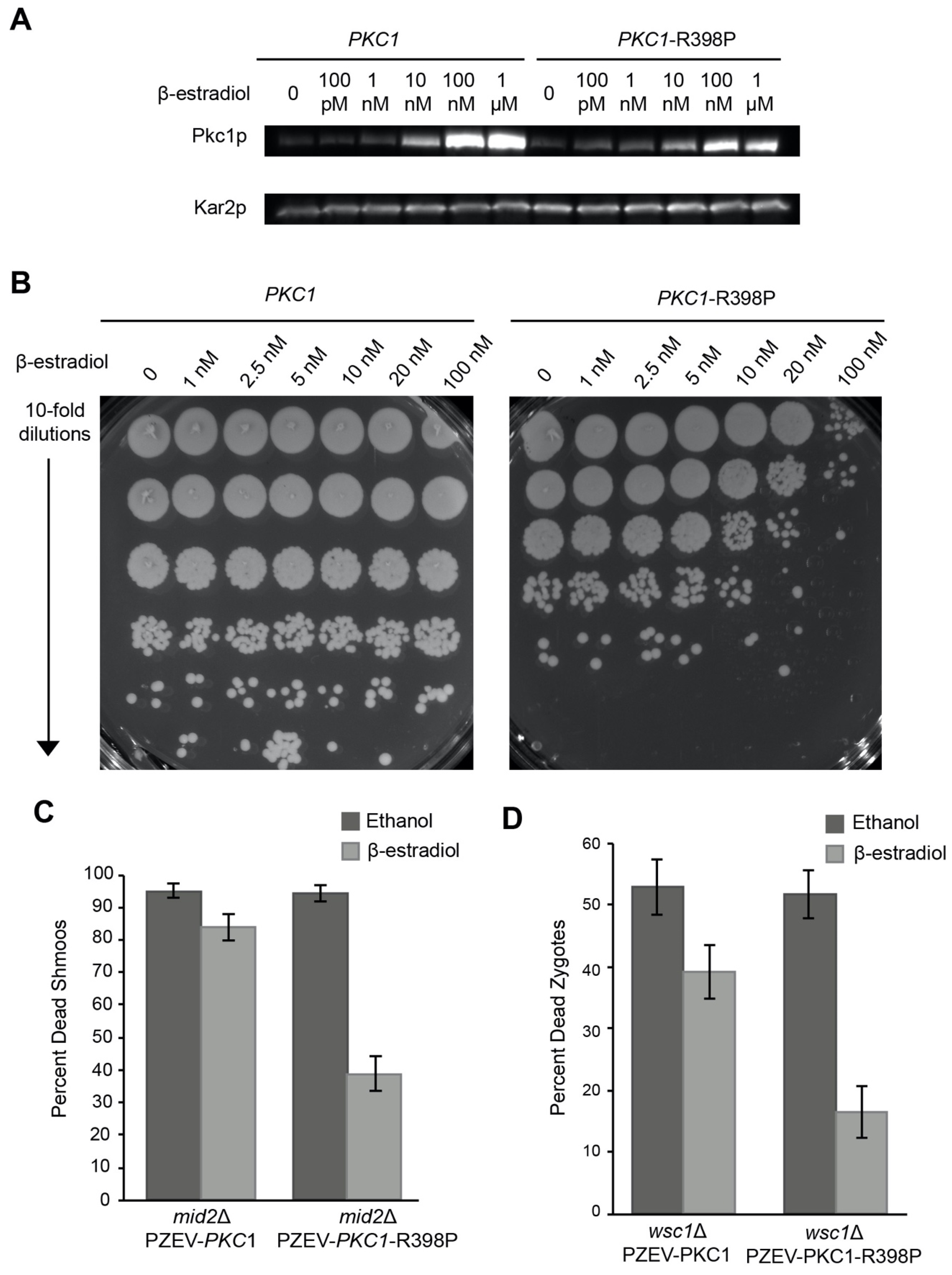 Jof 07 01049 g006 Jof 07 01049 g006