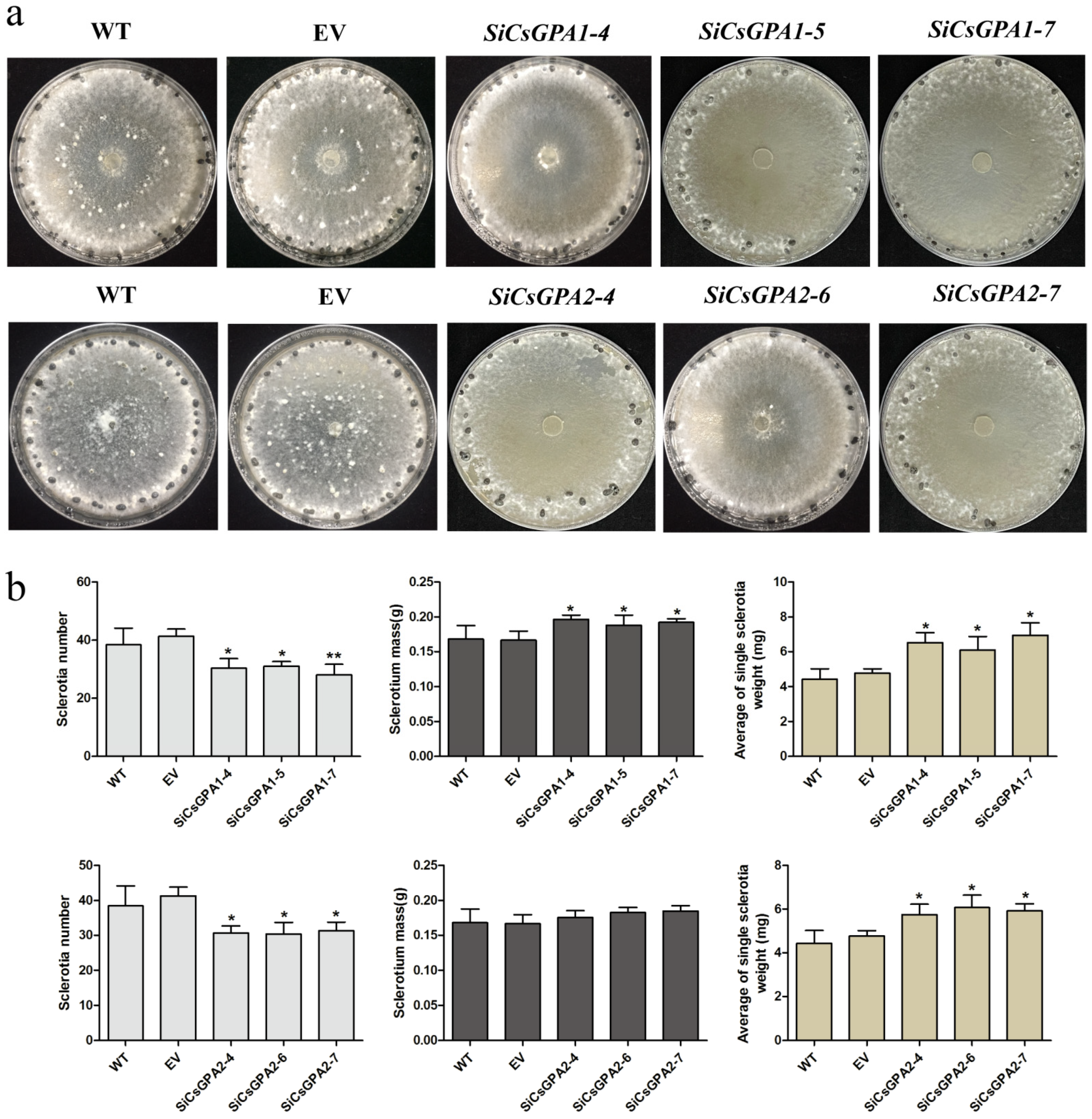 Jof 07 01053 g002 550