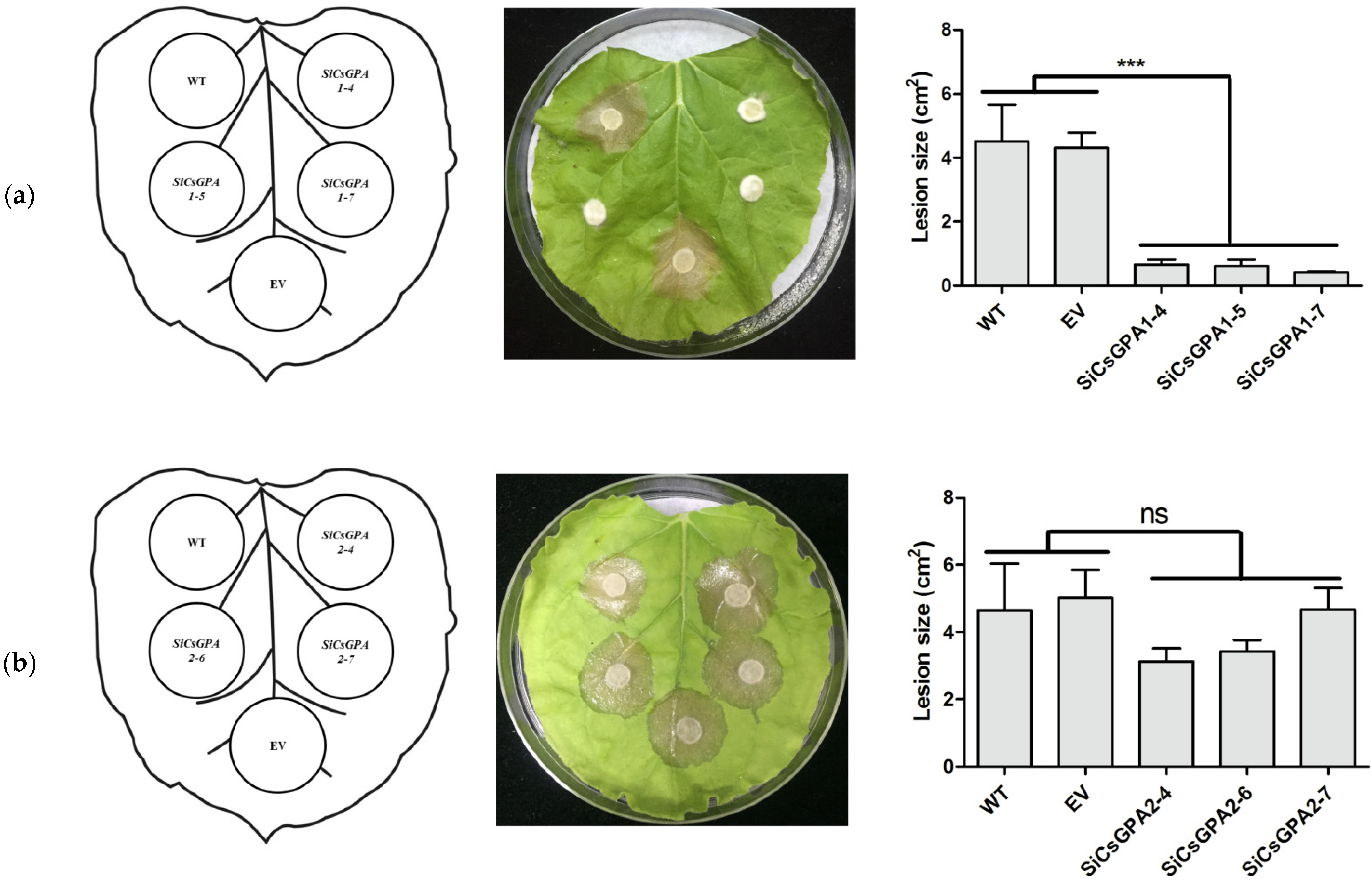 Jof 07 01053 g005 550