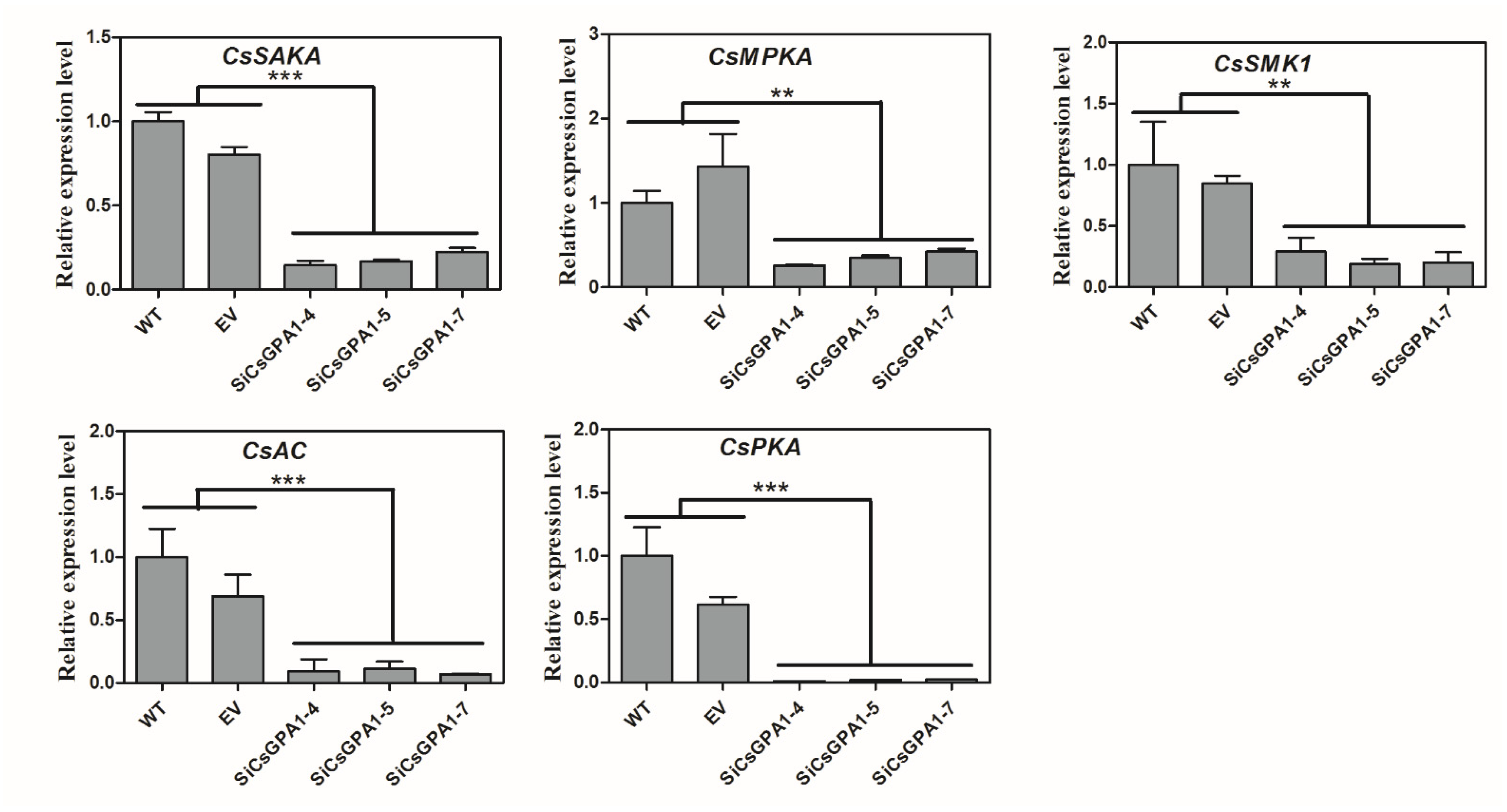 Jof 07 01053 g006 550