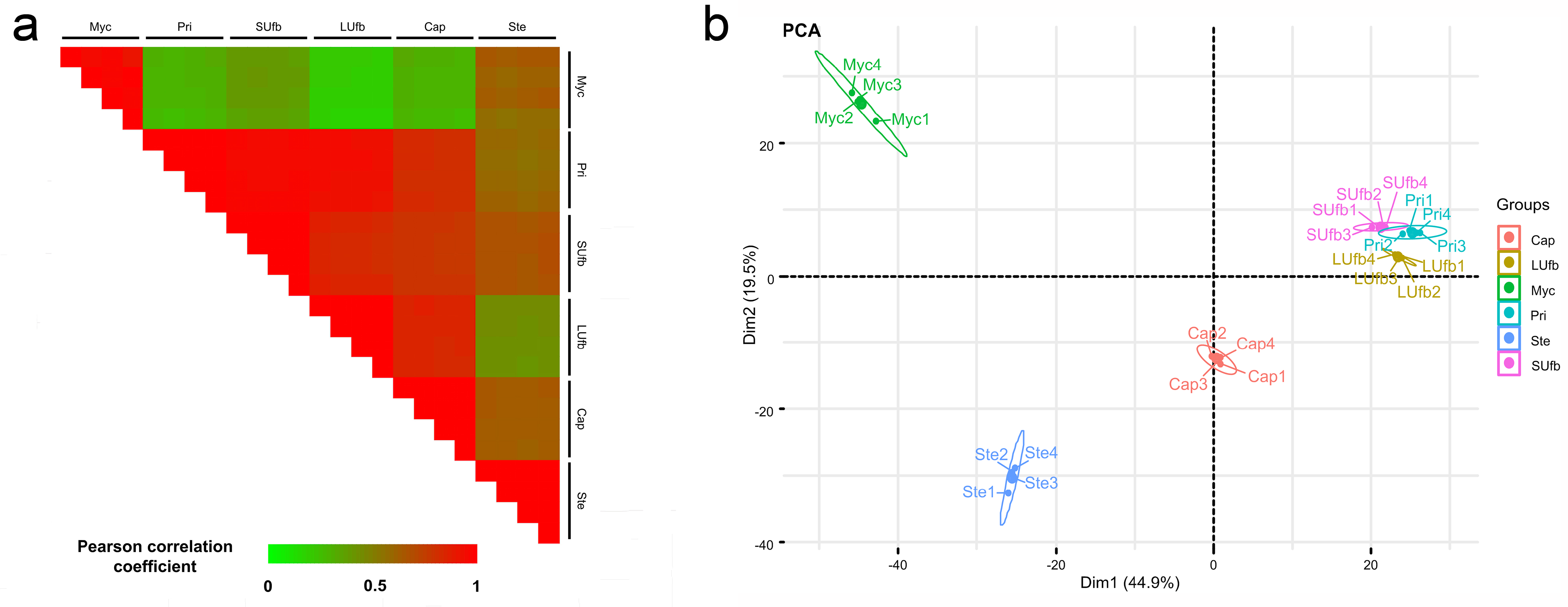Jof 07 01064 g003 550