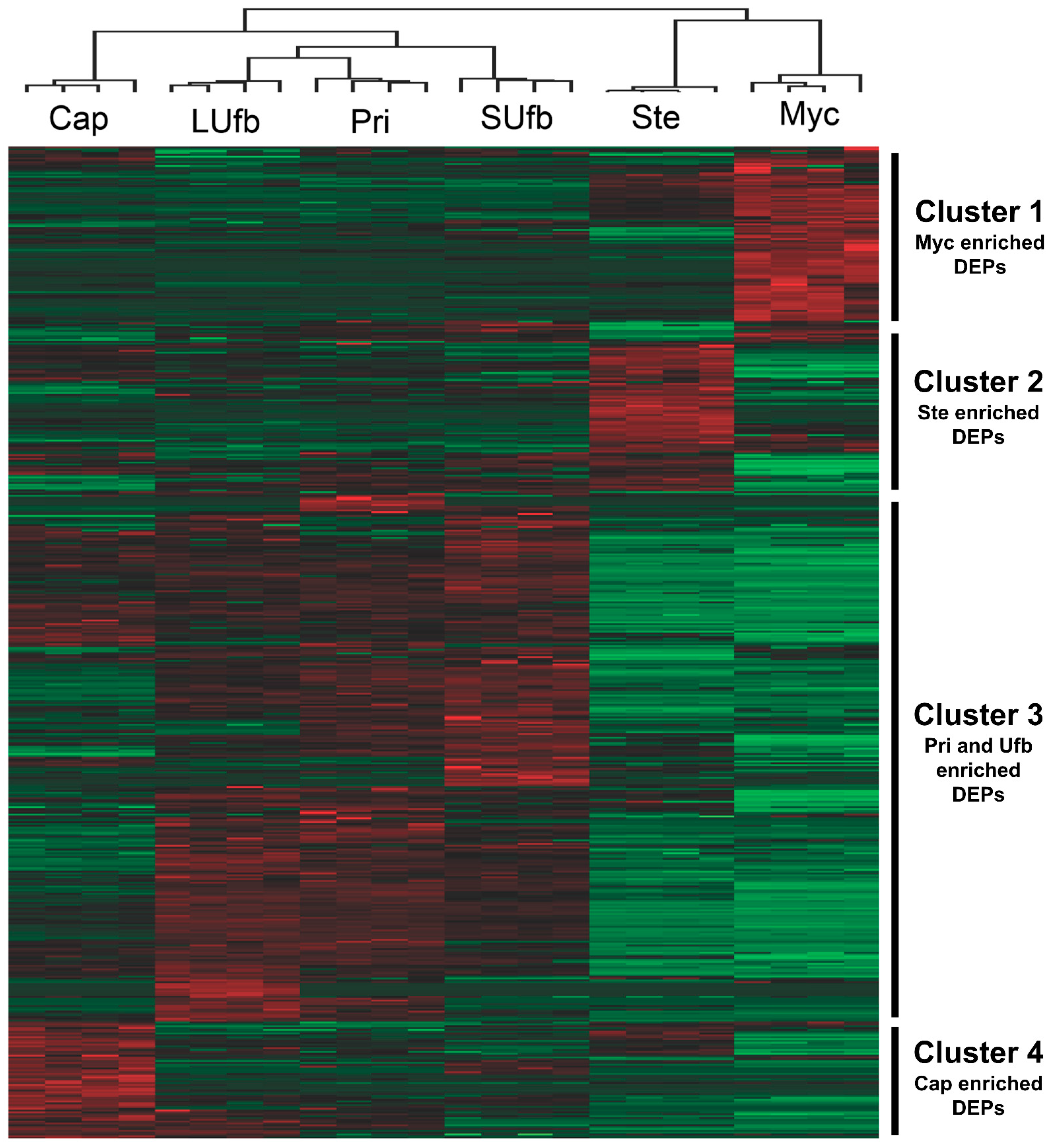 Jof 07 01064 g004 550