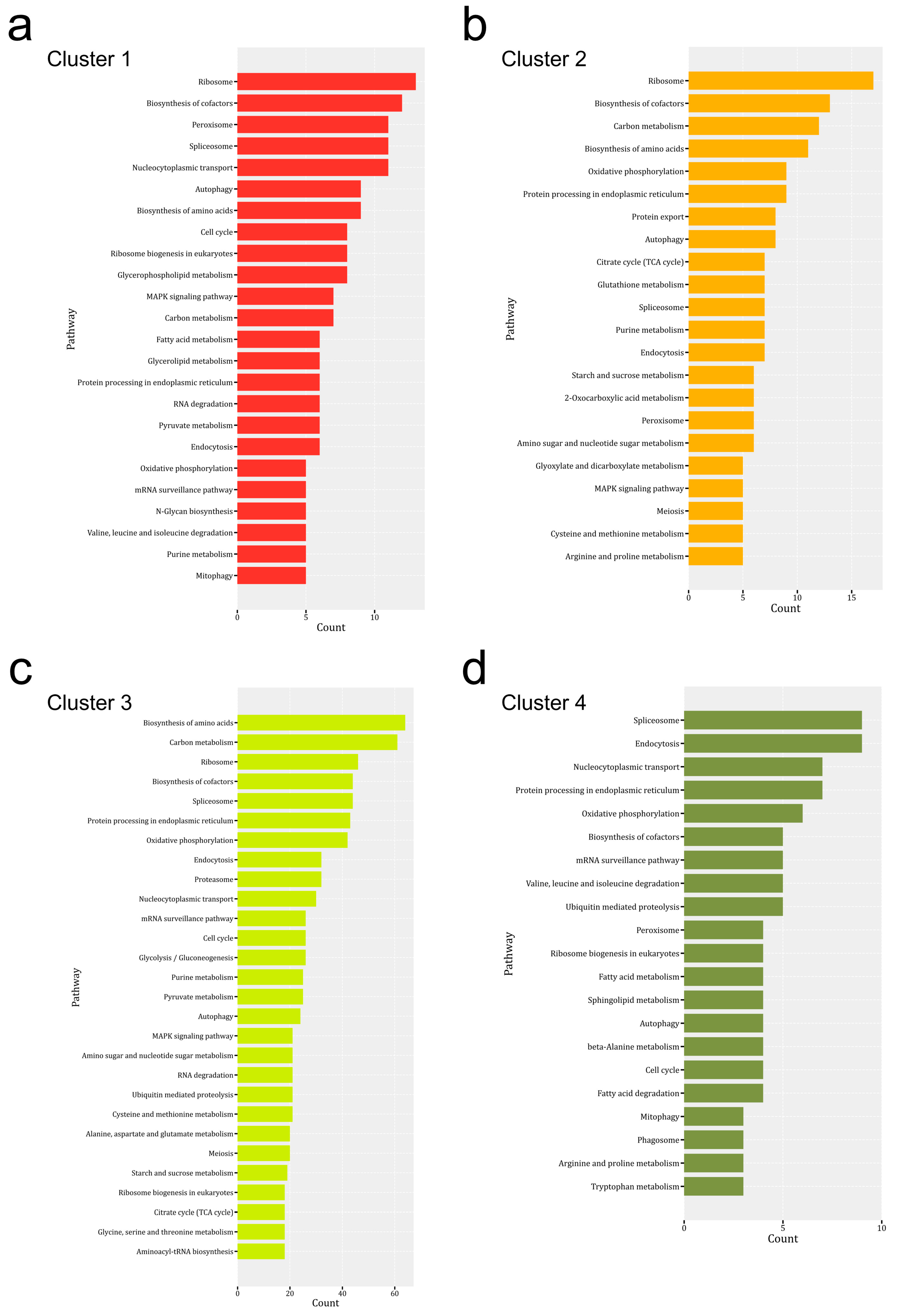 Jof 07 01064 g006 550