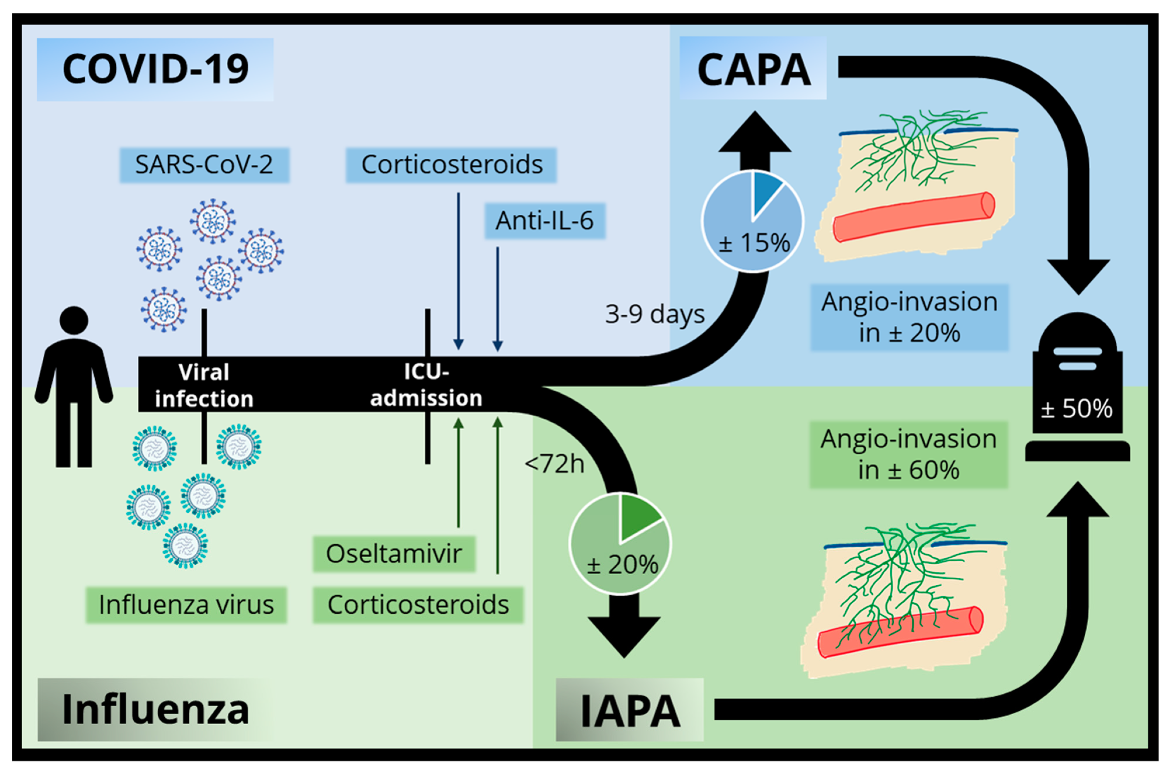 Jof 07 01067 g004 Jof 07 01067 g004