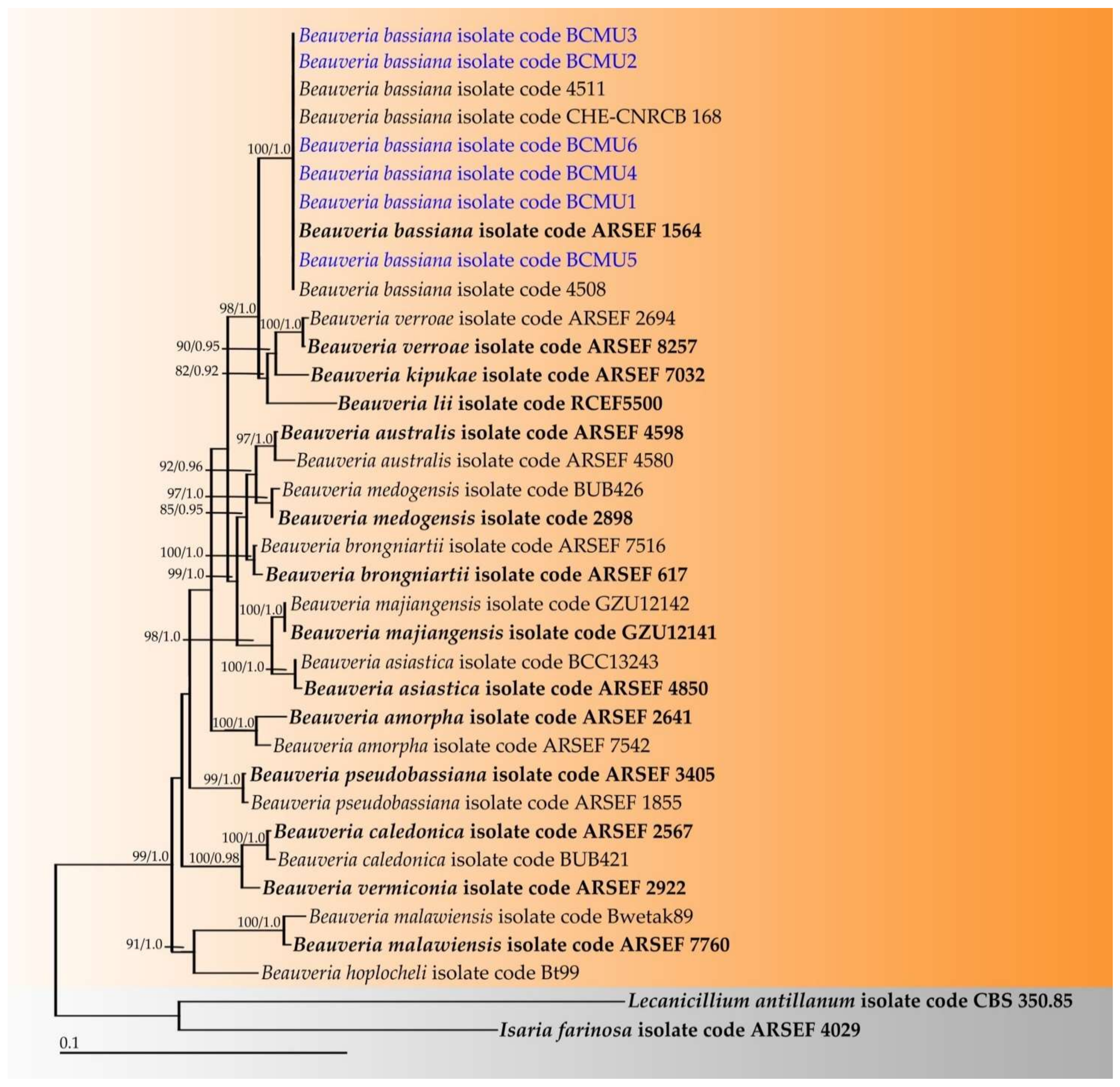 Jof 07 01073 g002 Jof 07 01073 g002