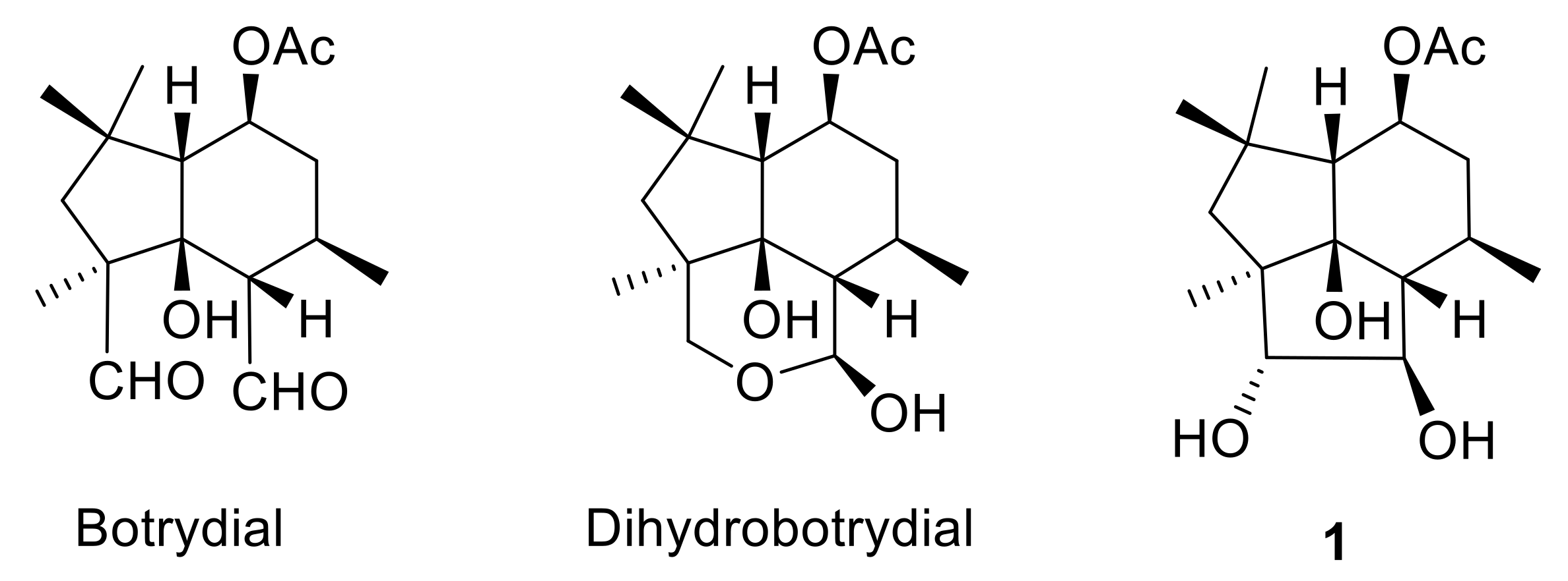 Jof 07 01079 g001 550