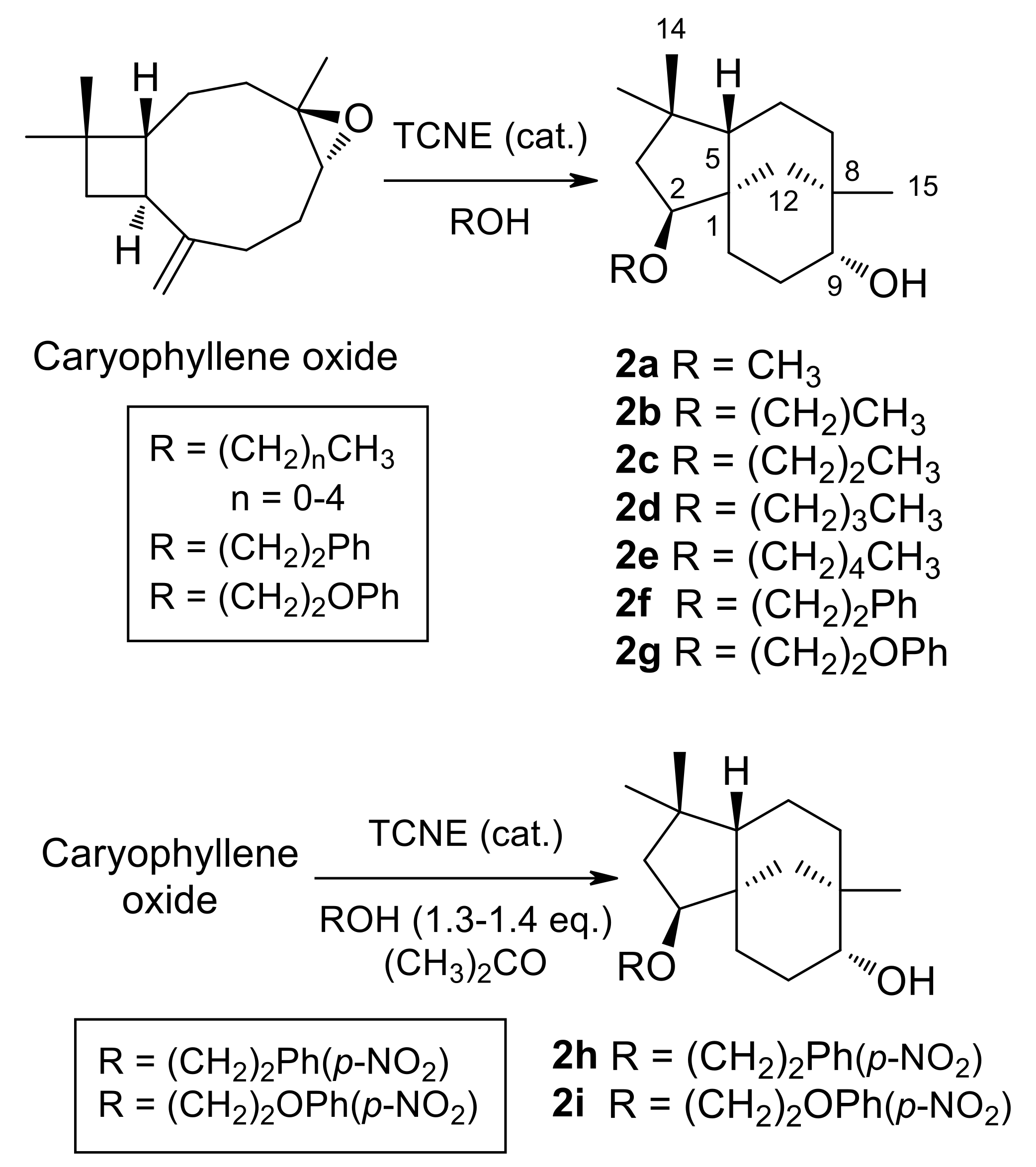 Jof 07 01079 g002 550