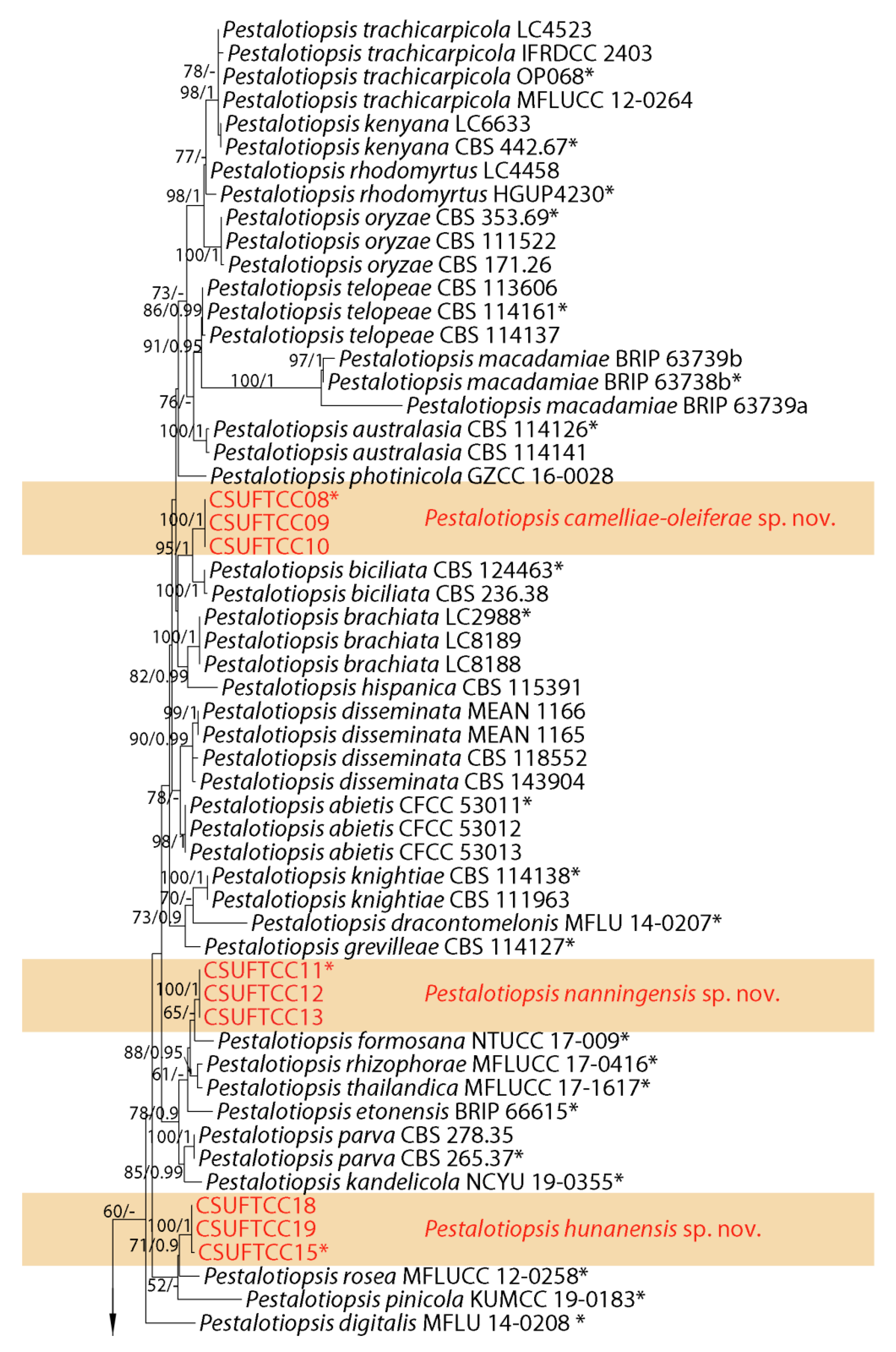 Jof 07 01080 g002a Jof 07 01080 g002a