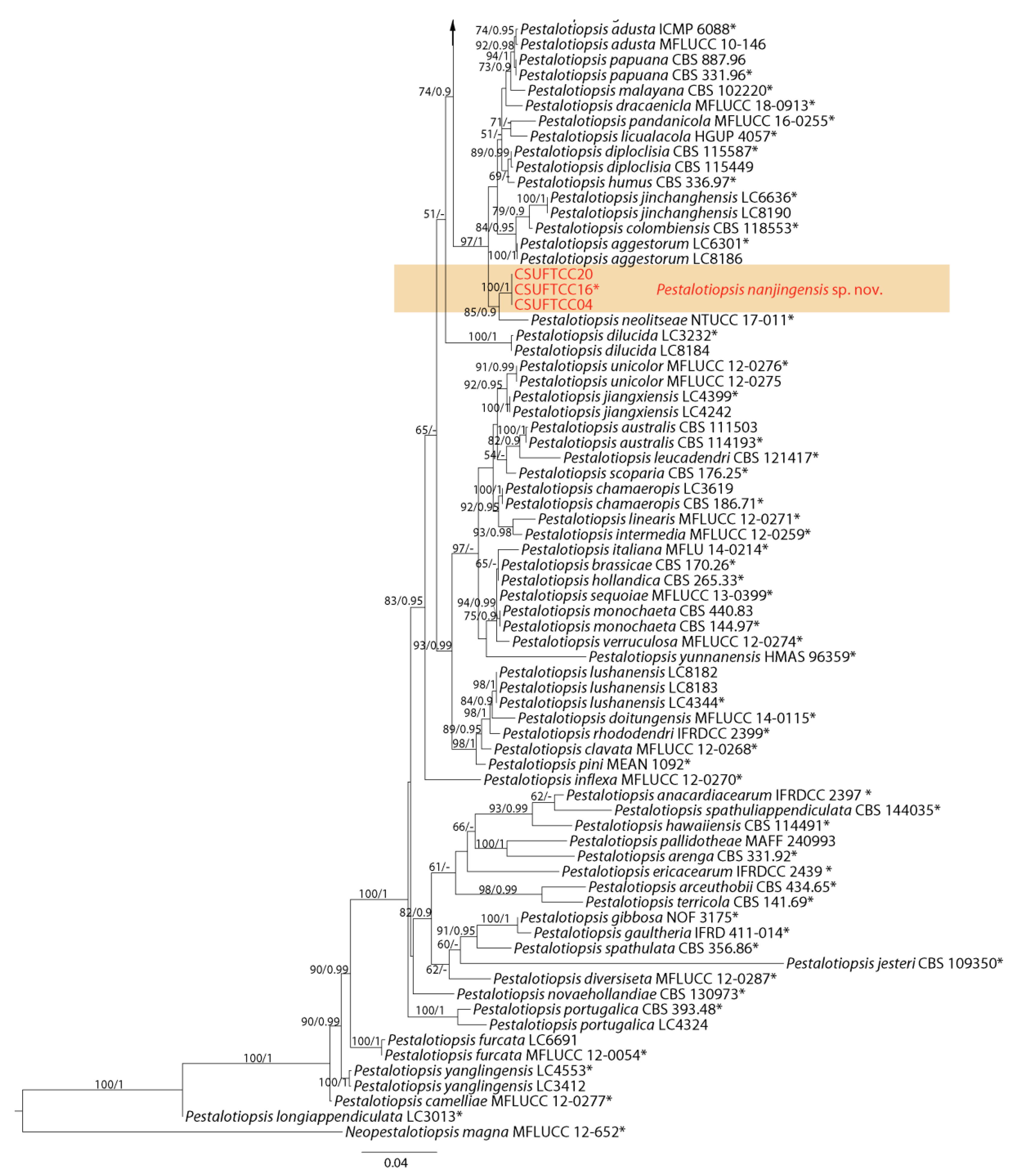 Jof 07 01080 g002b Jof 07 01080 g002b