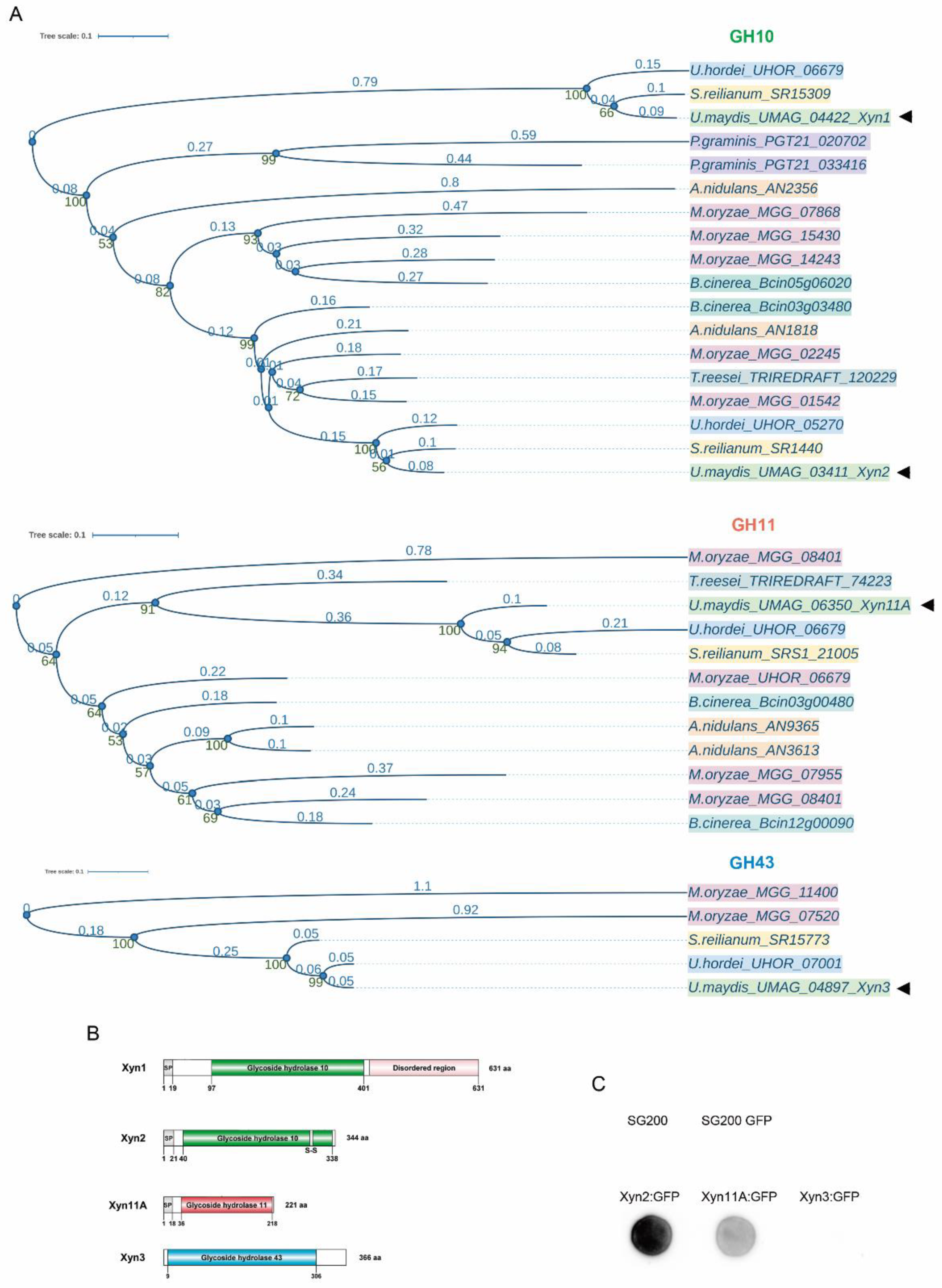 Jof 07 01081 g001 Jof 07 01081 g001