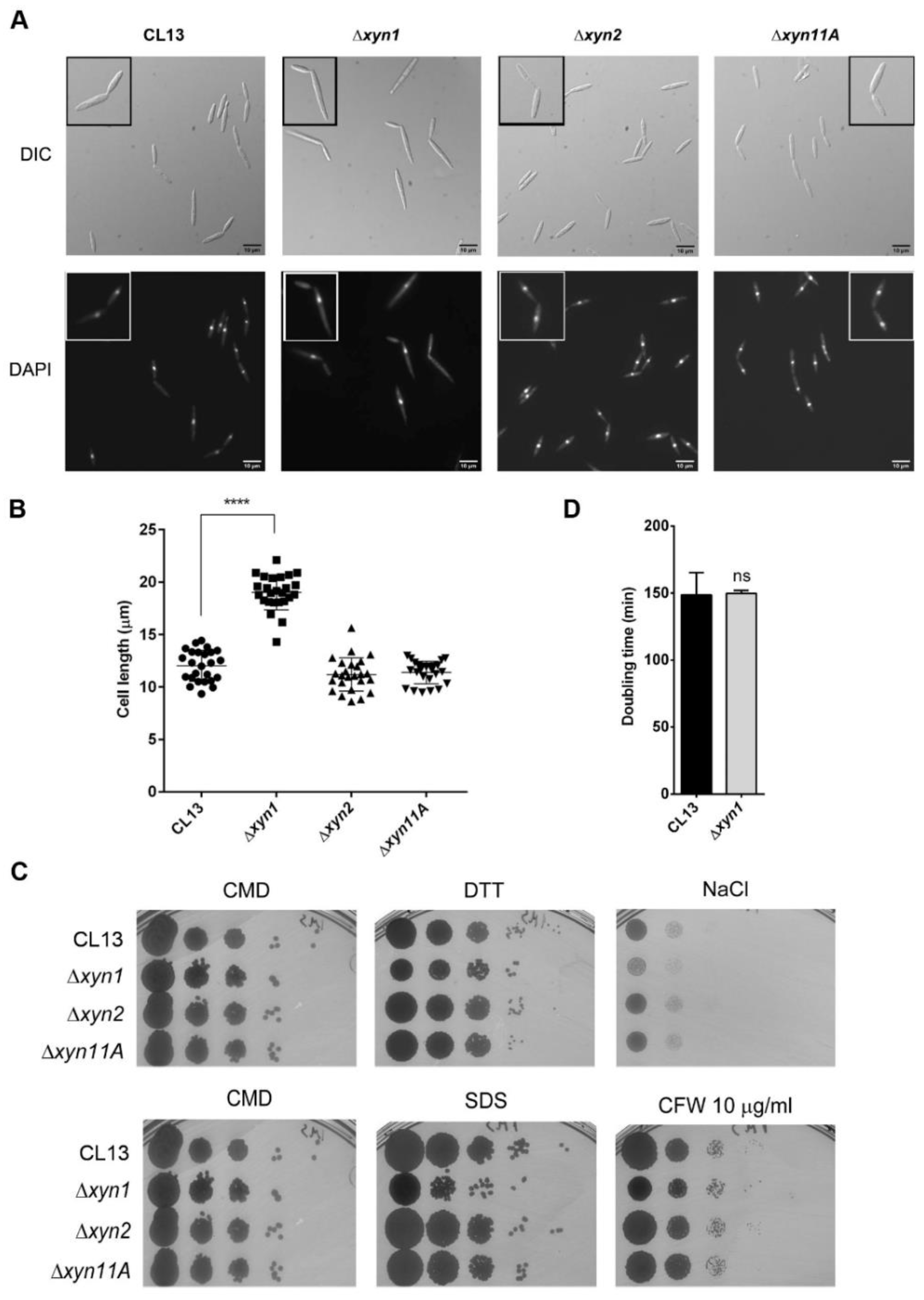 Jof 07 01081 g003 Jof 07 01081 g003