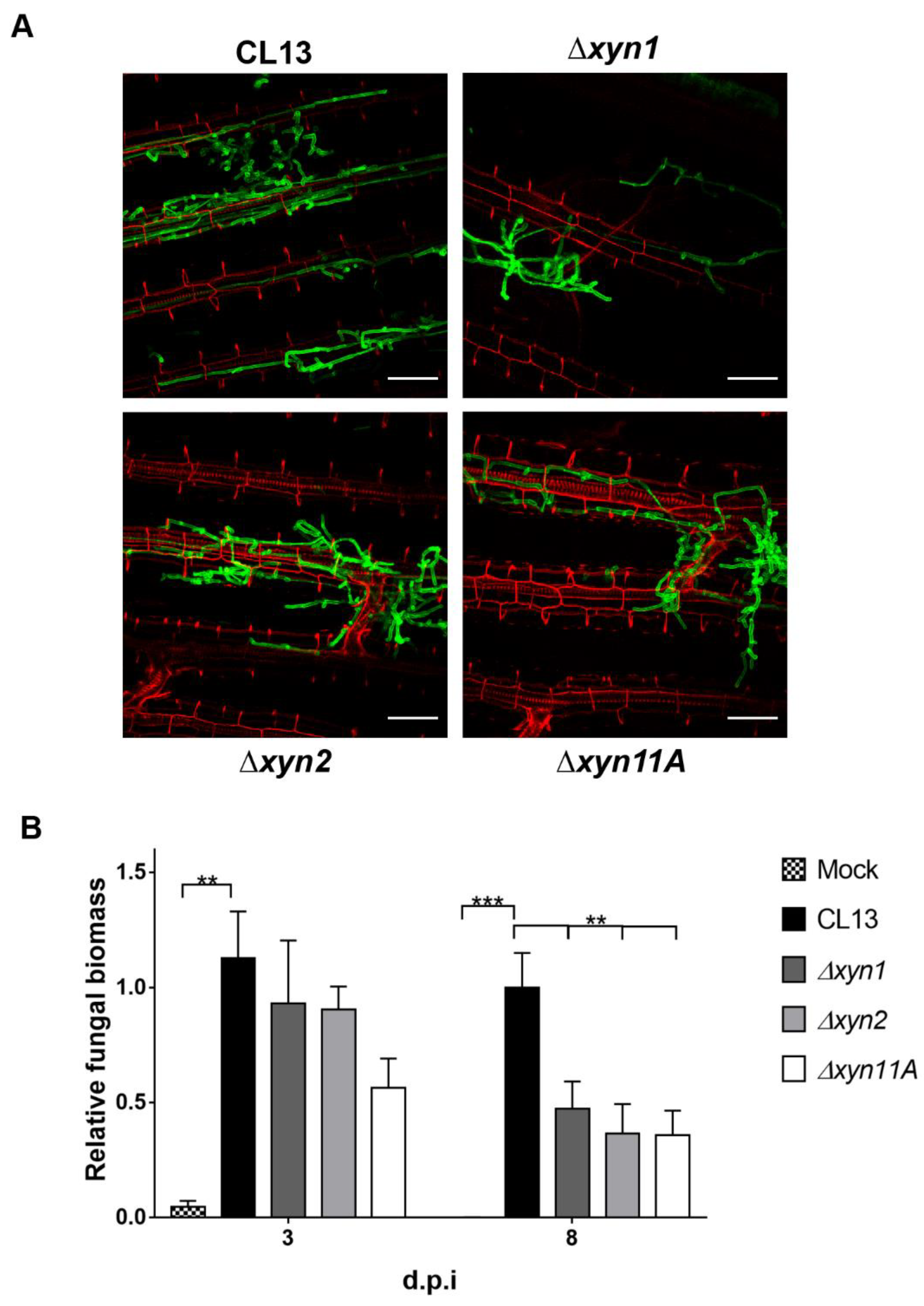 Jof 07 01081 g005 Jof 07 01081 g005