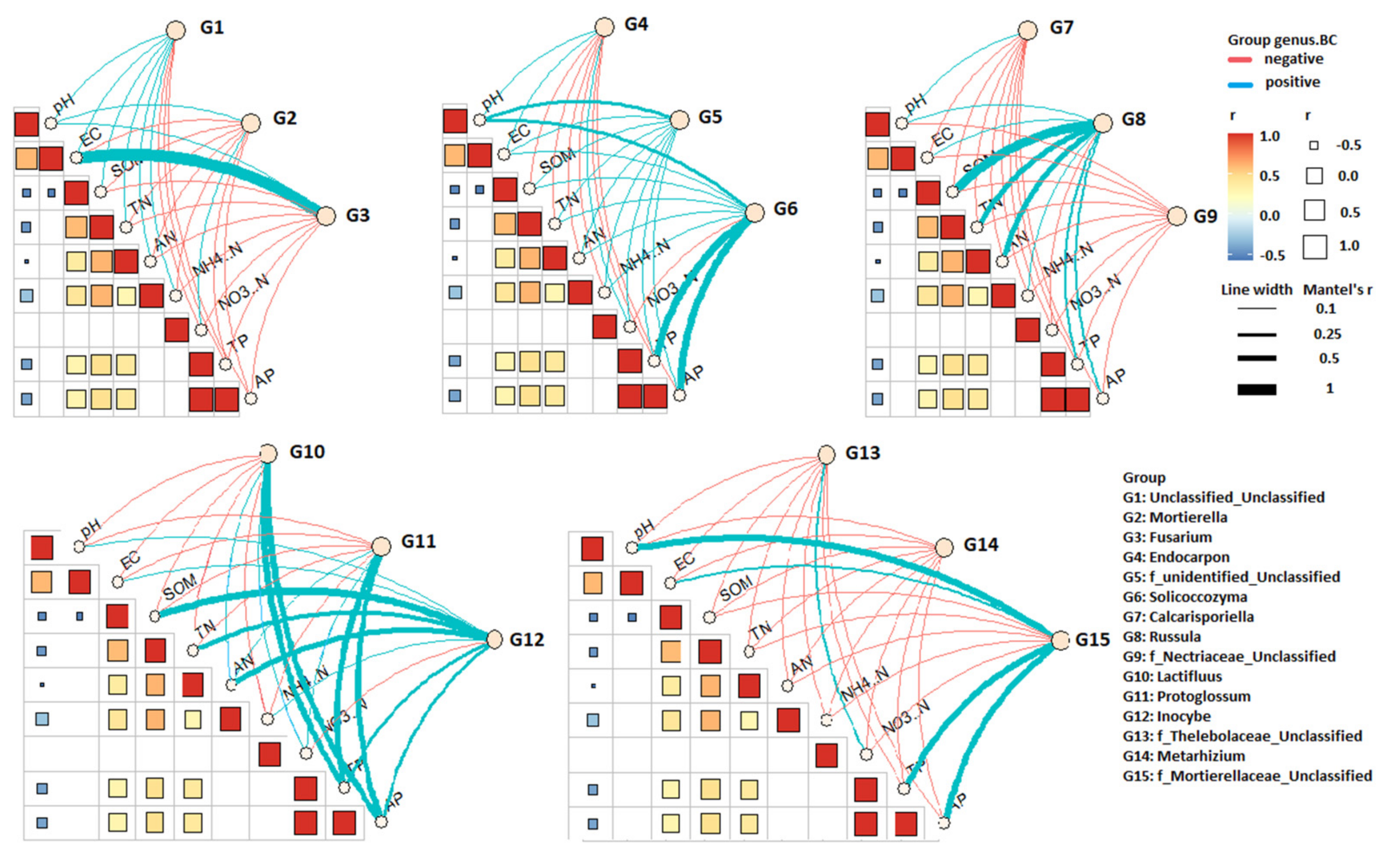 Jof 07 01082 g007 Jof 07 01082 g007