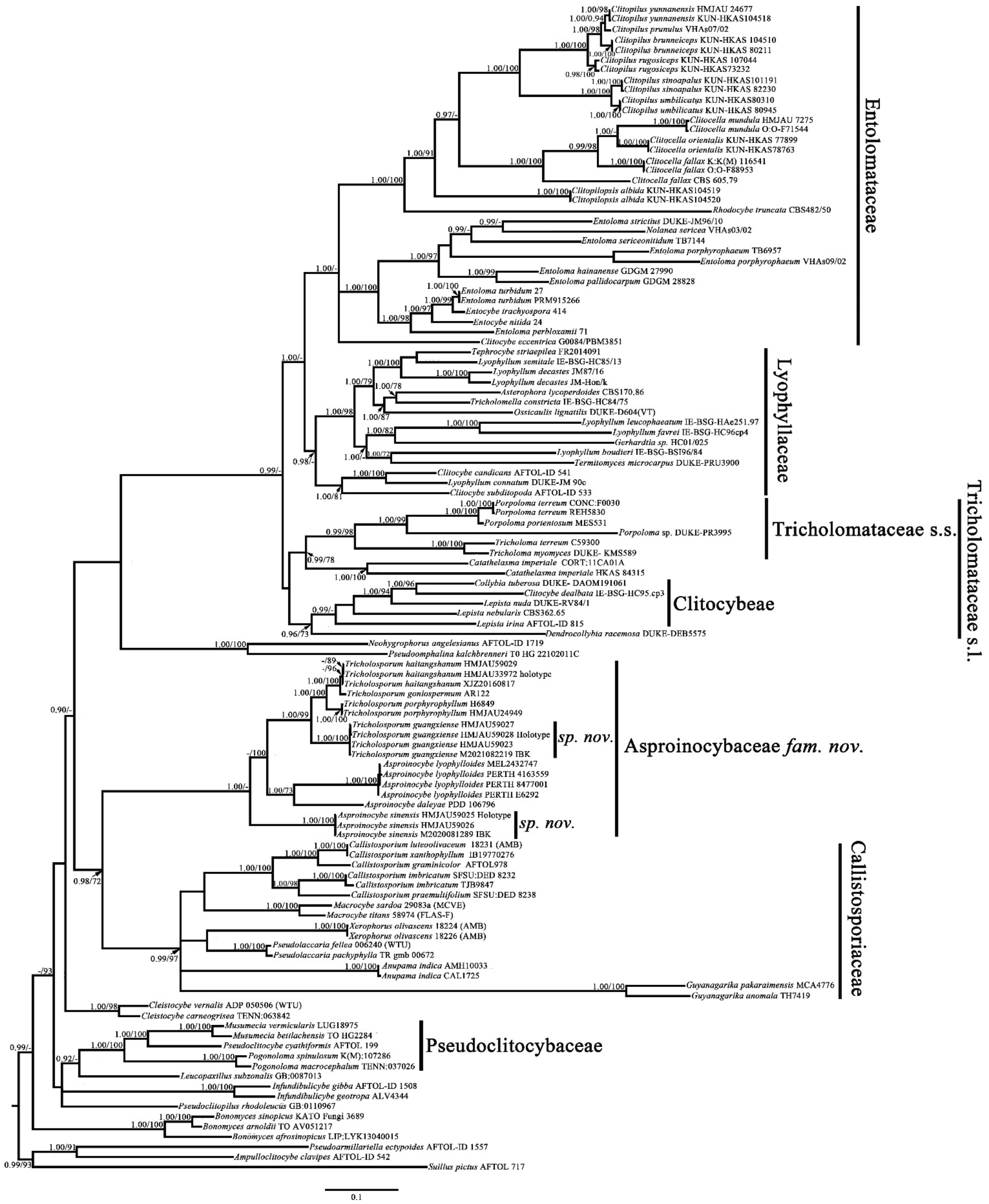 Jof 07 01086 g001 550