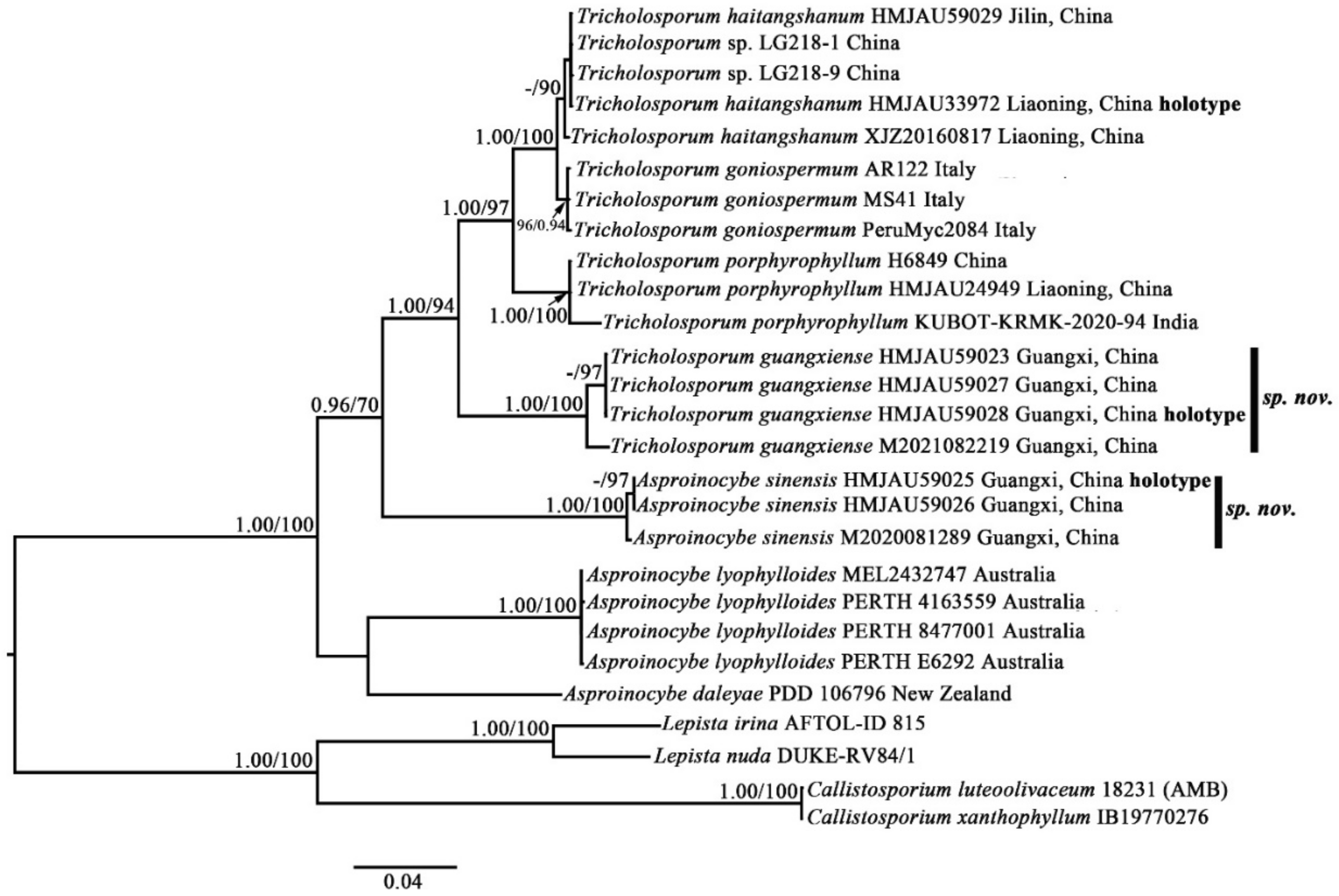 Jof 07 01086 g002 550