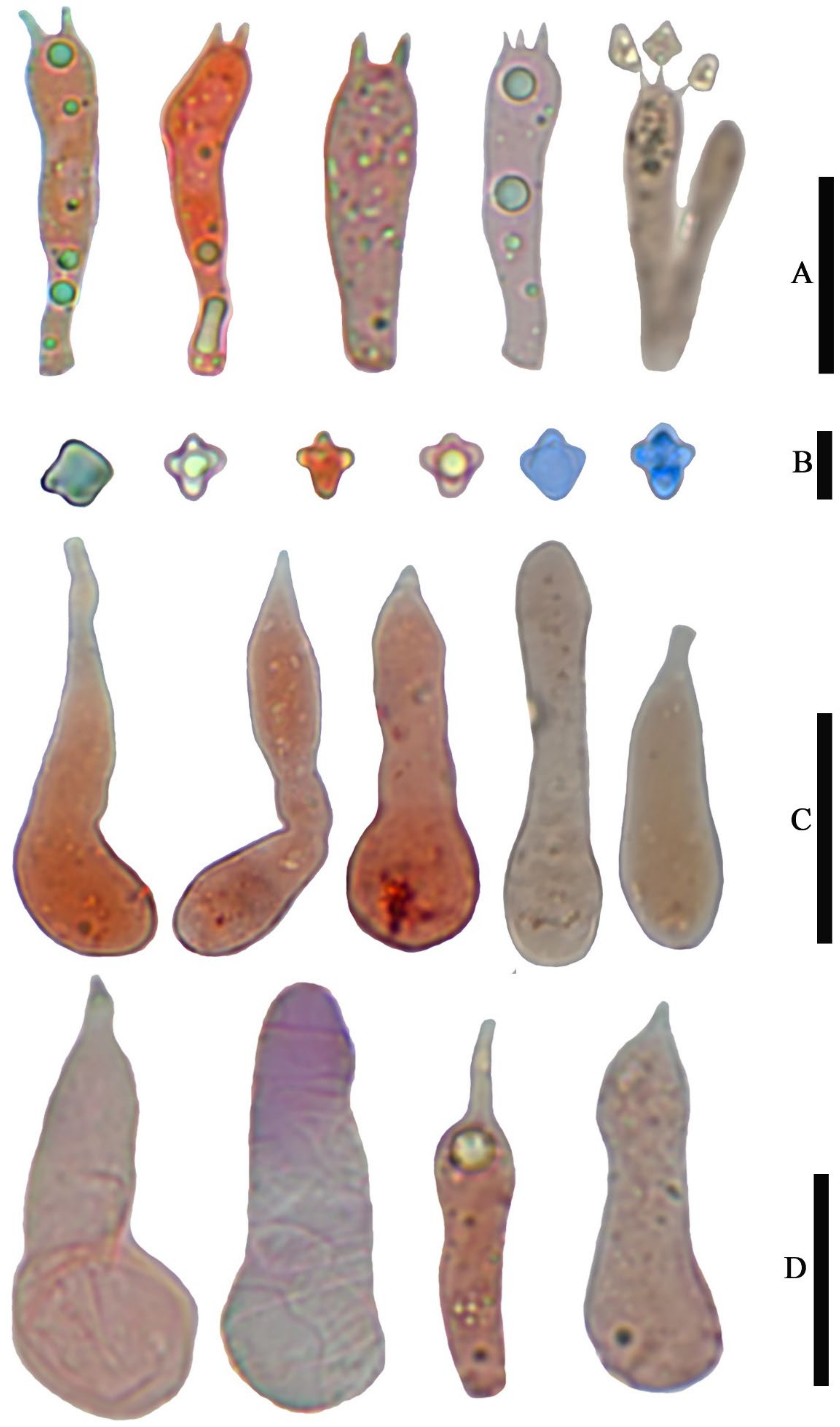 Jof 07 01086 g009 550