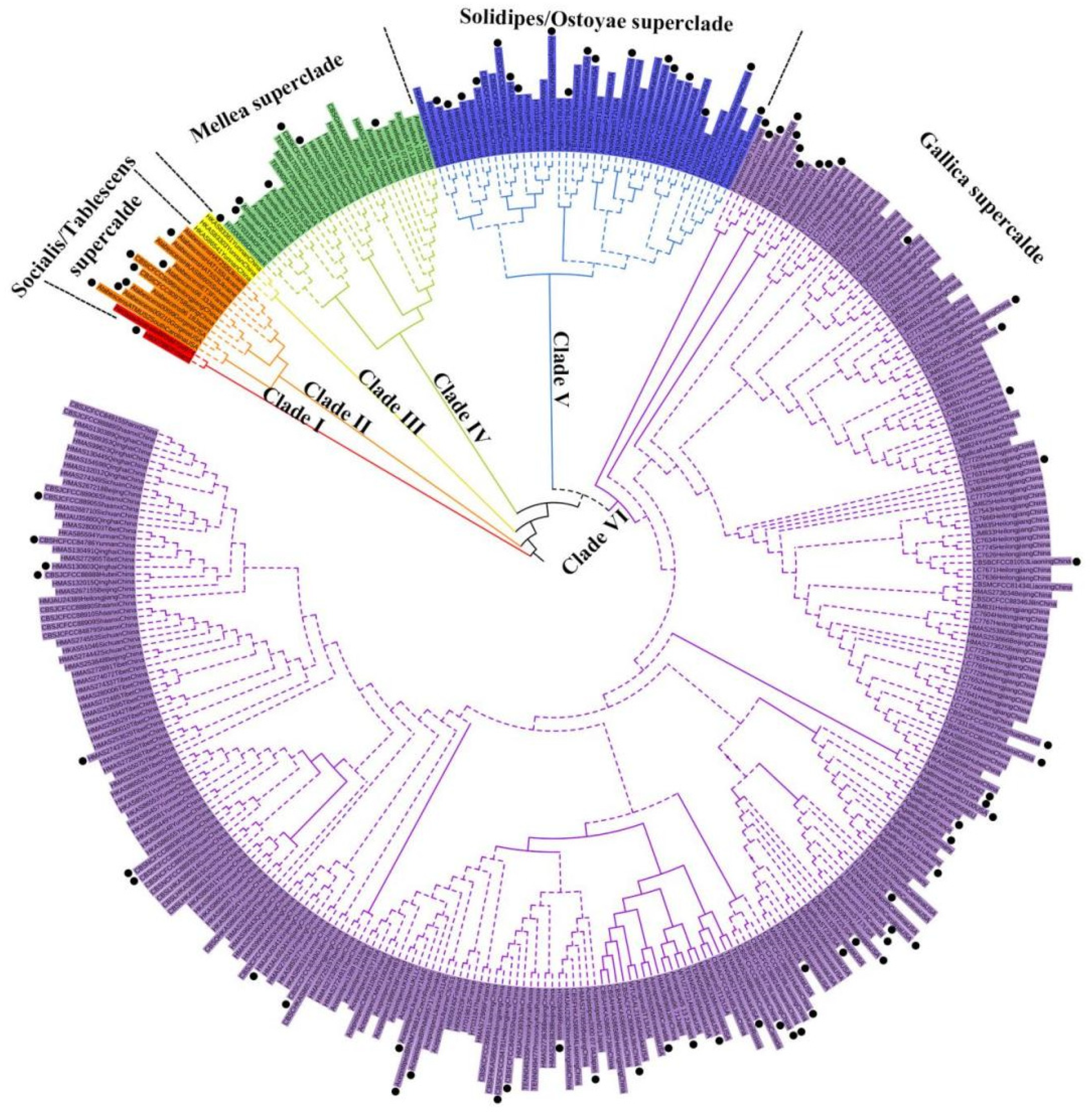 Jof 07 01088 g001 Jof 07 01088 g001