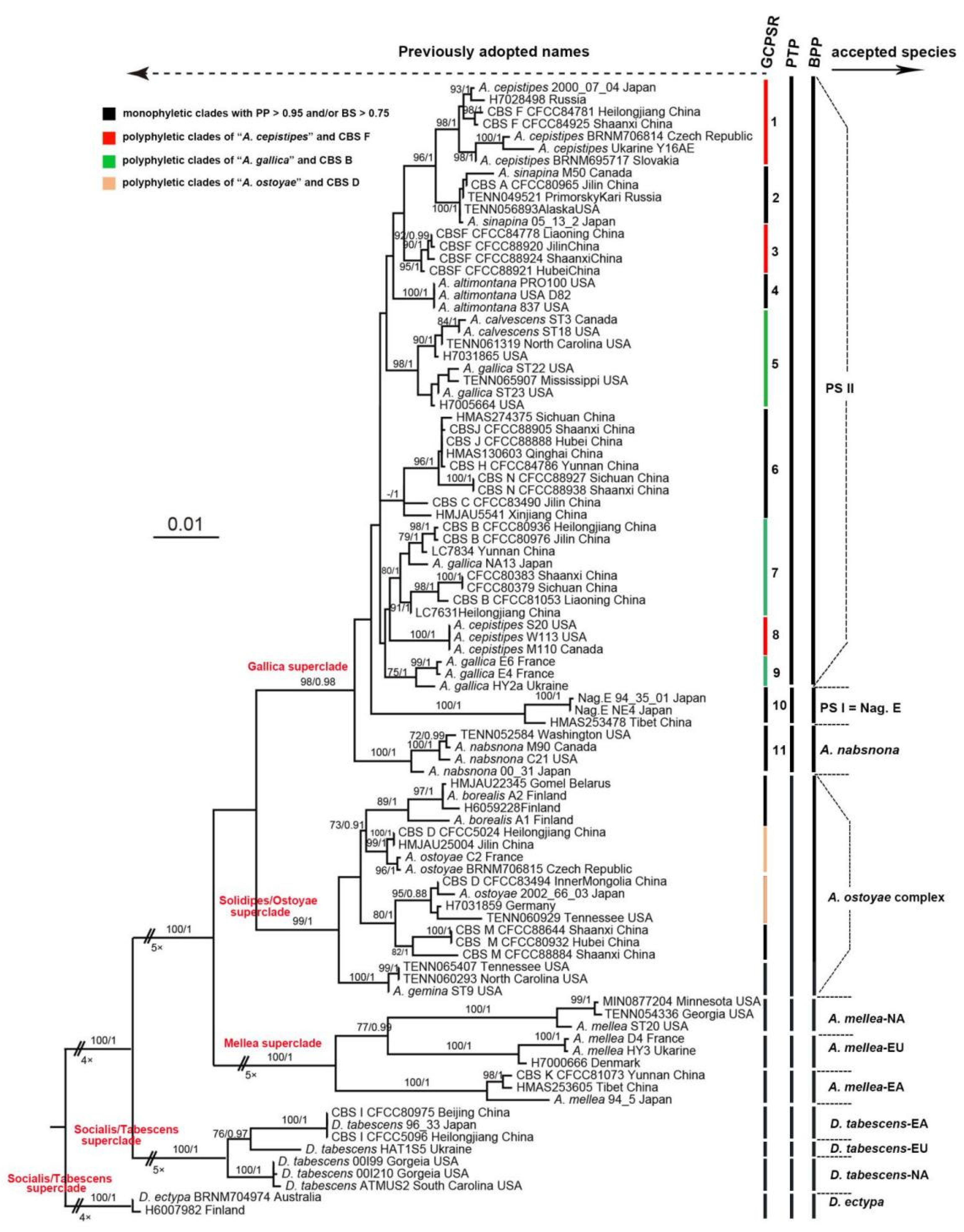 Jof 07 01088 g002 Jof 07 01088 g002