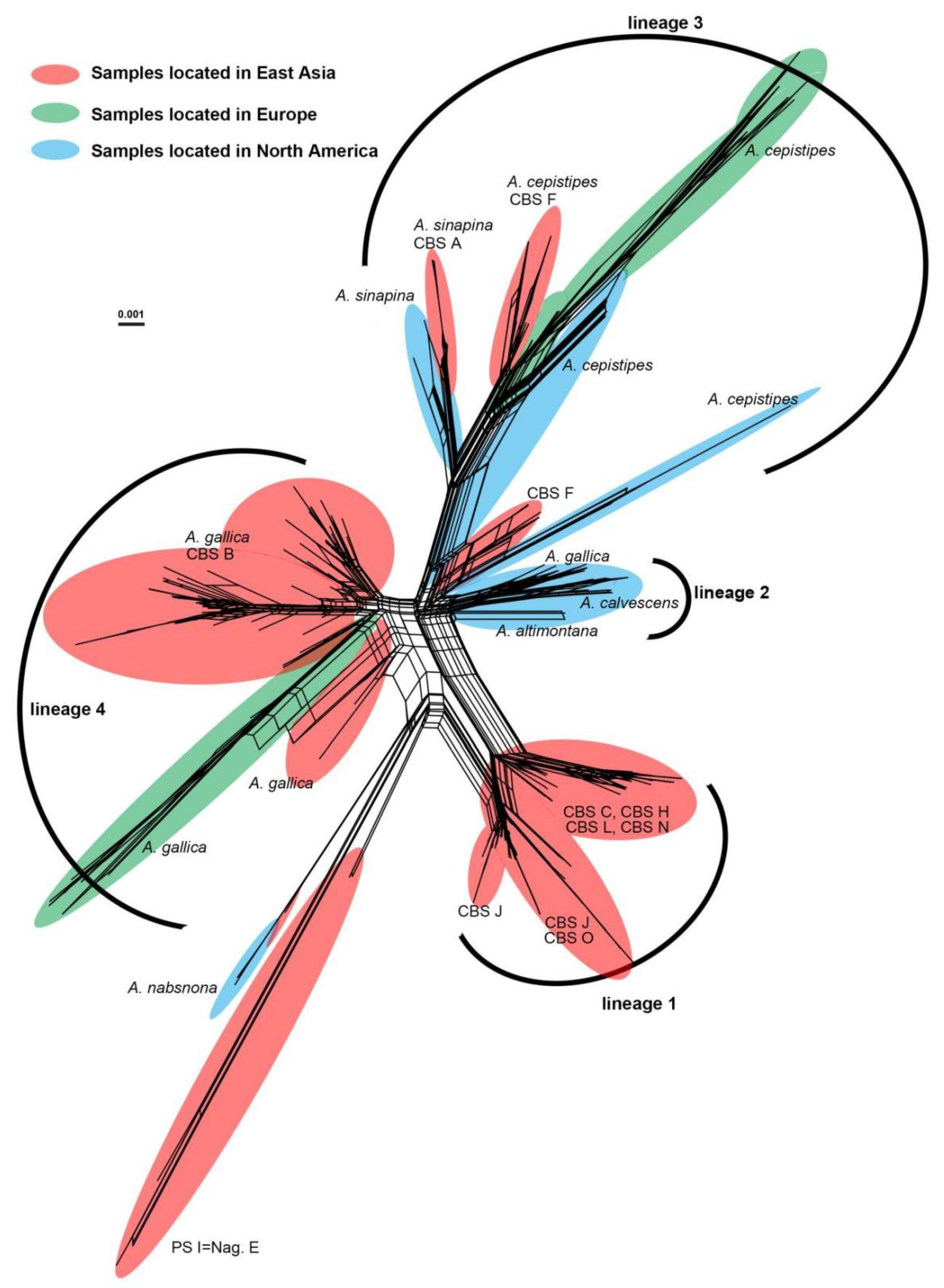 Jof 07 01088 g003 Jof 07 01088 g003
