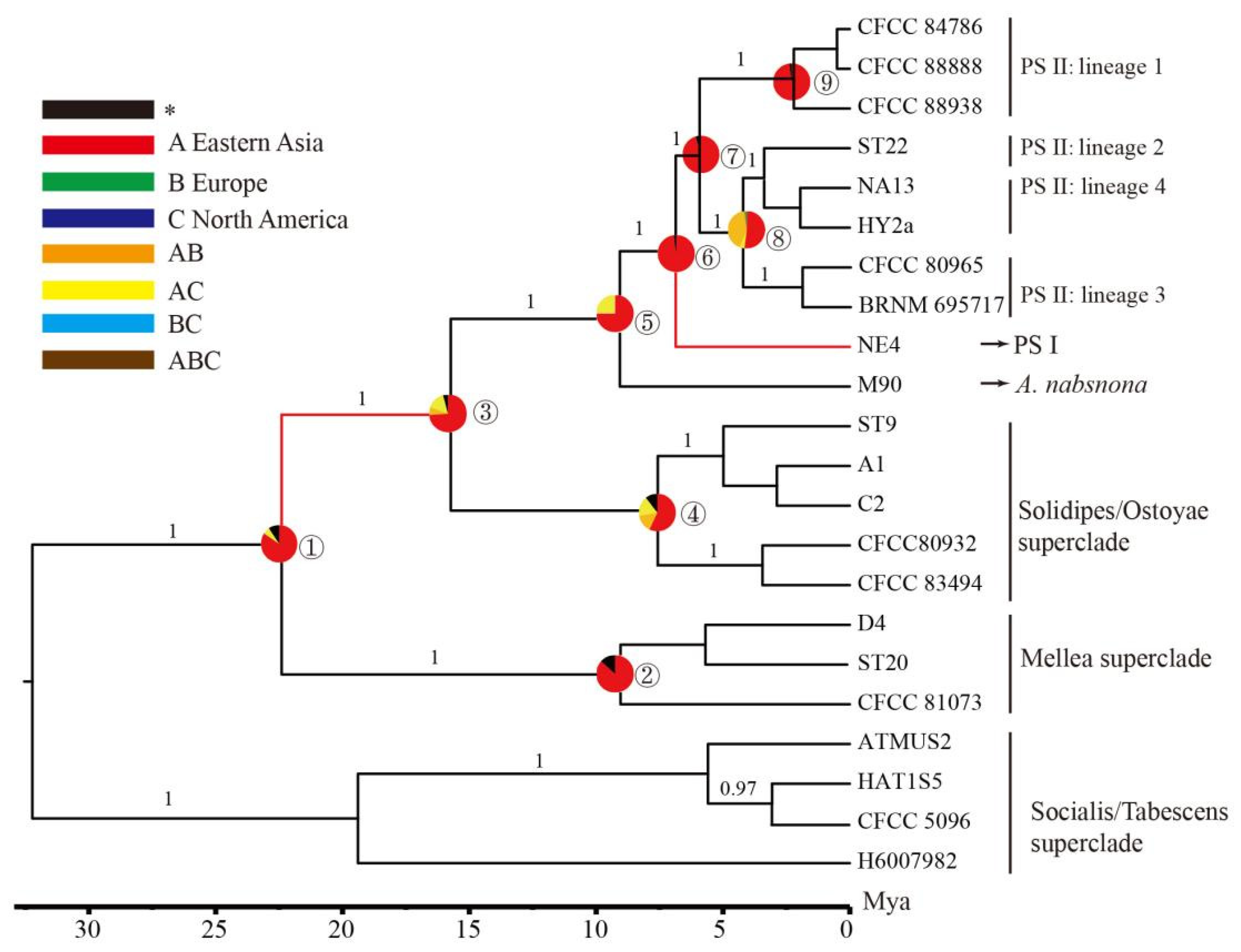 Jof 07 01088 g004 Jof 07 01088 g004