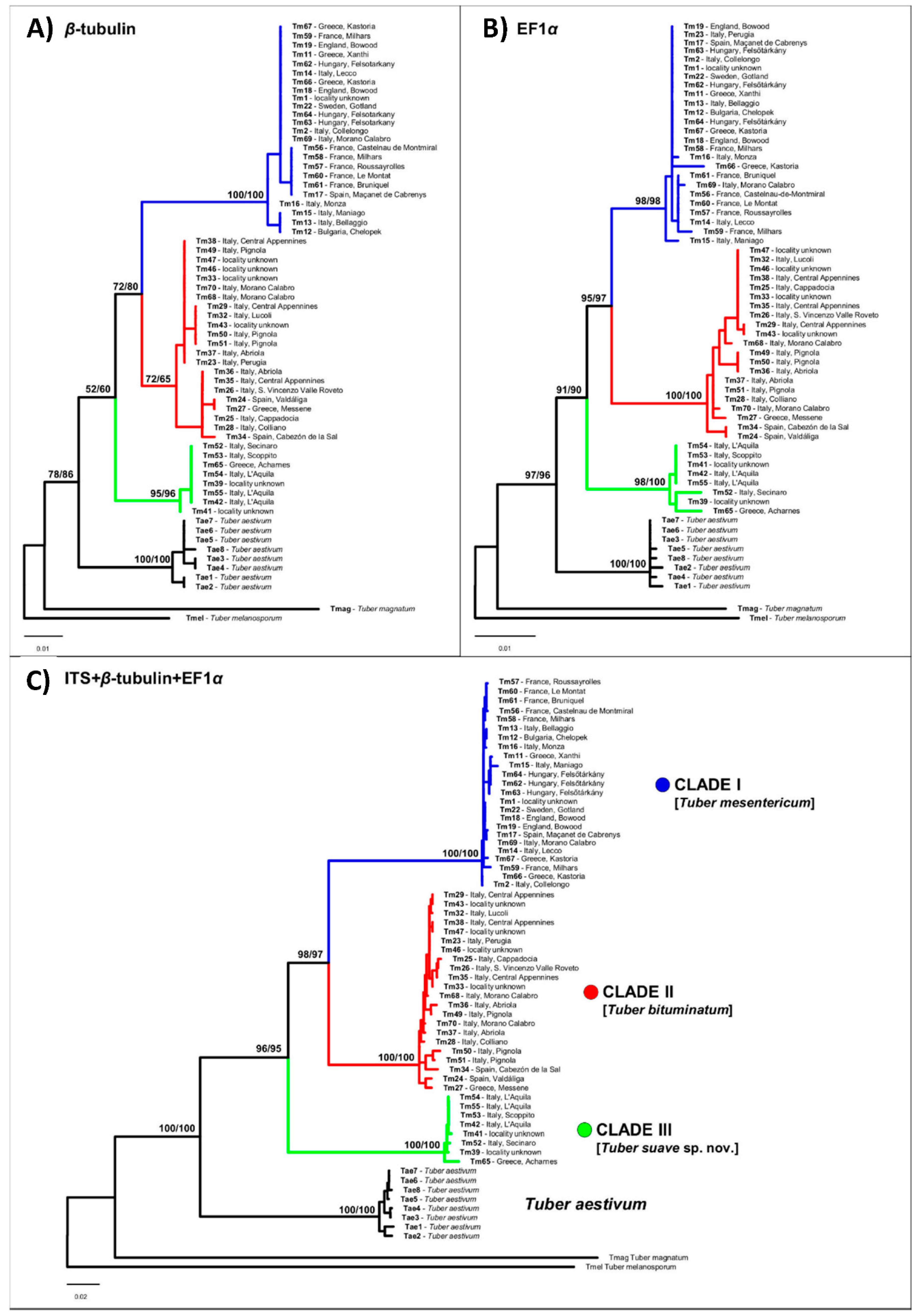 Jof 07 01090 g001 550