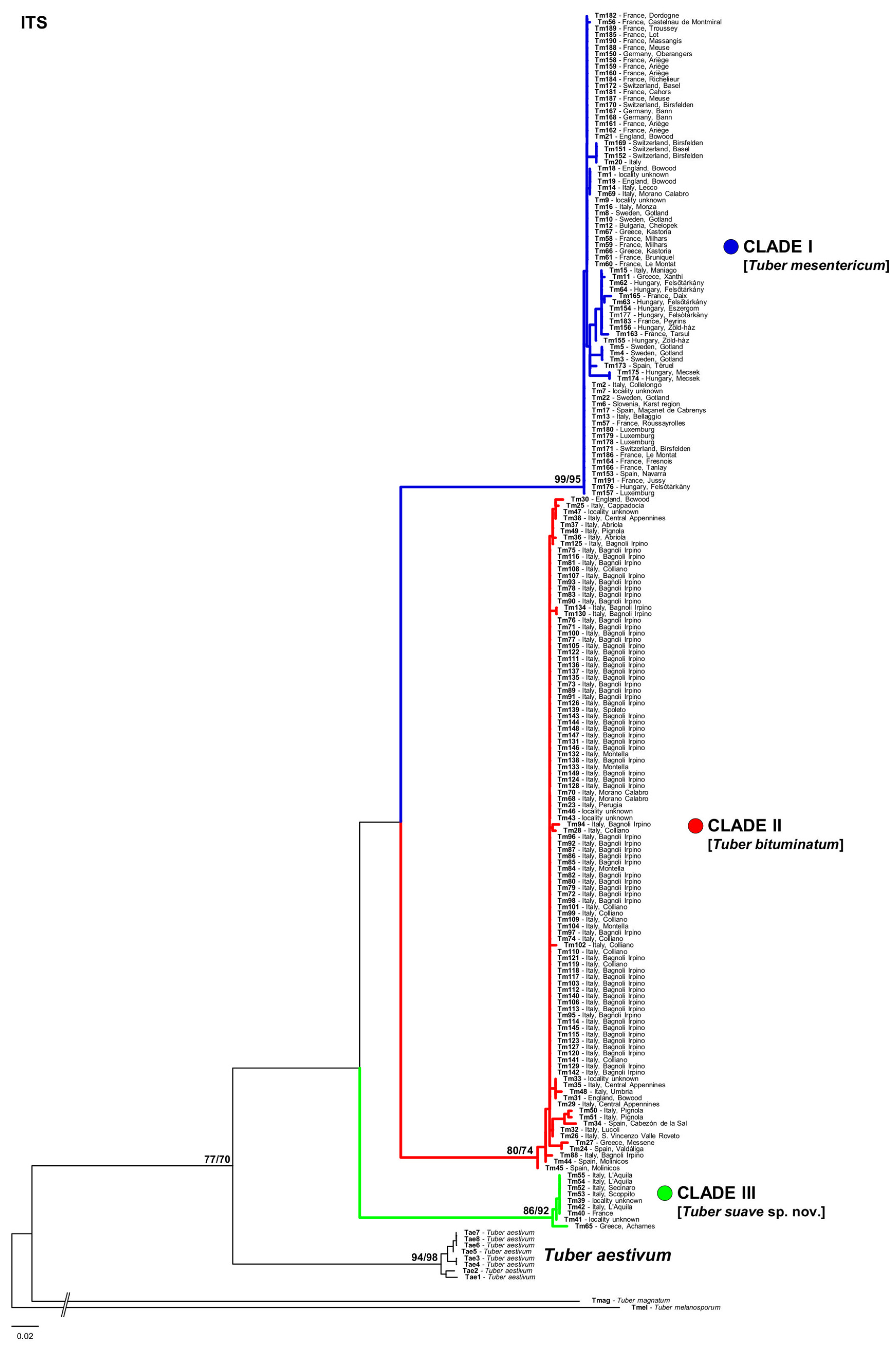 Jof 07 01090 g002 550