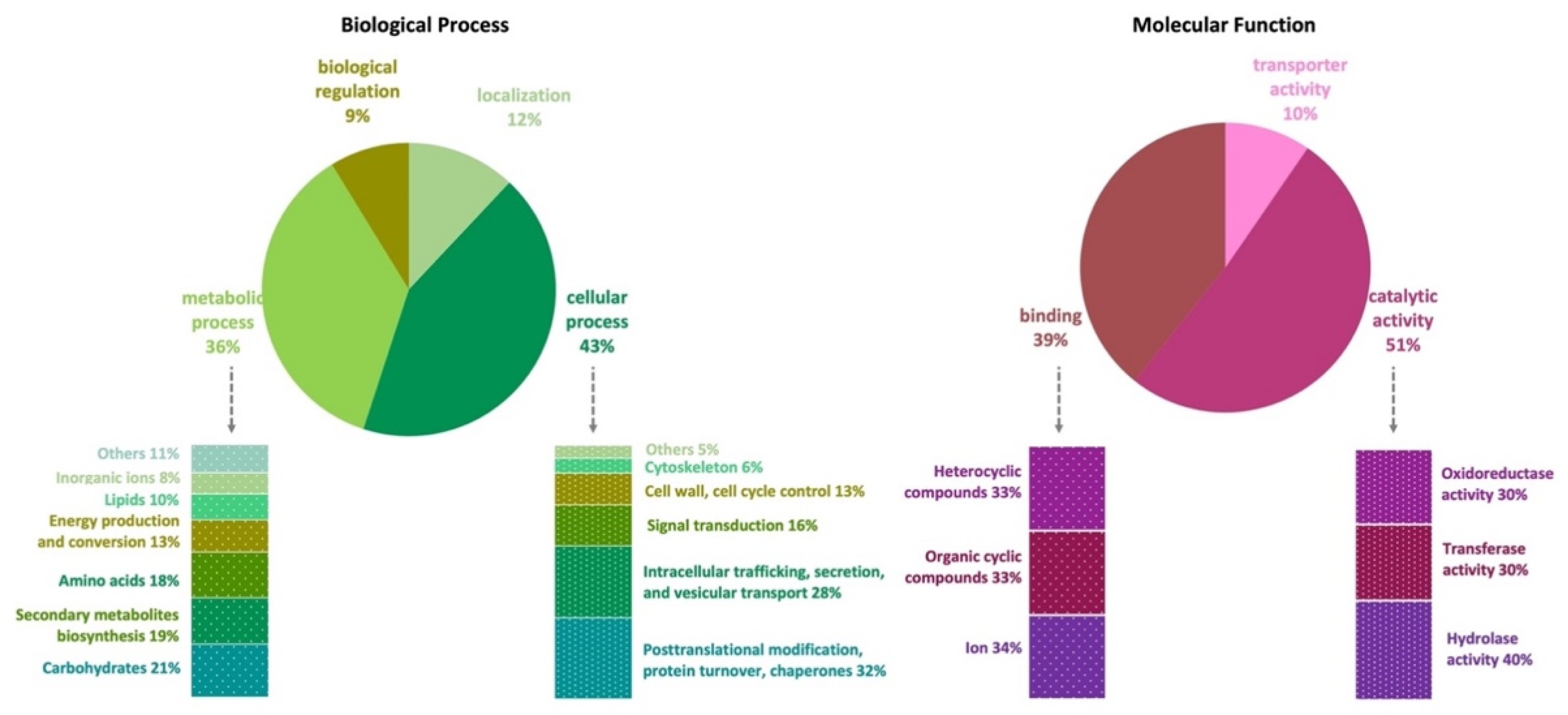 Jof 07 01091 g001 Jof 07 01091 g001