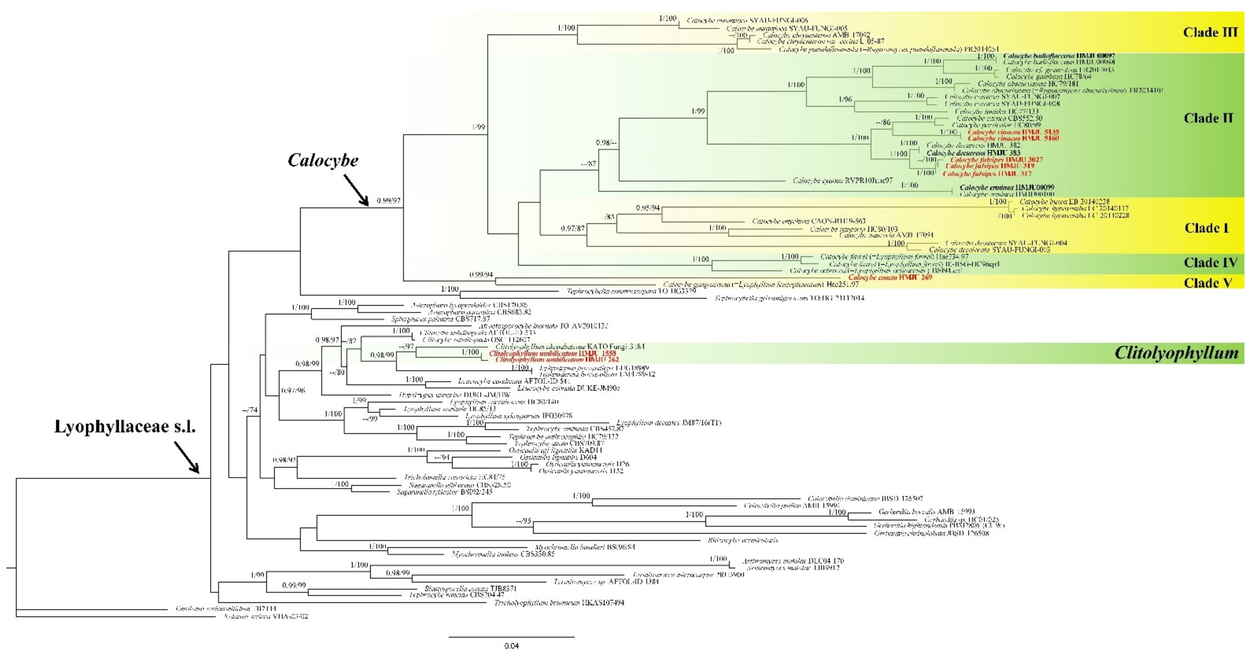 Jof 07 01101 g001 550